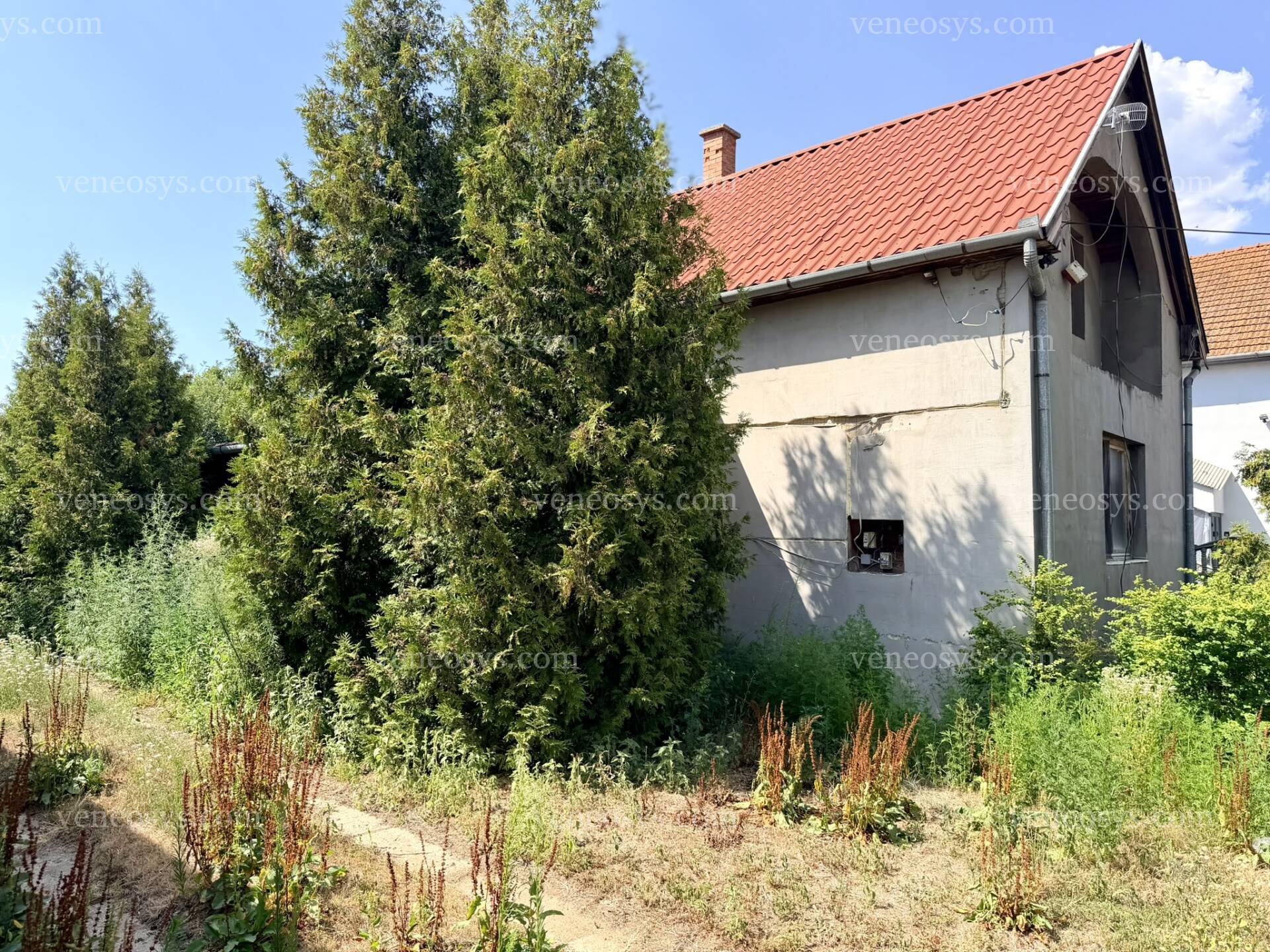 Kép 18