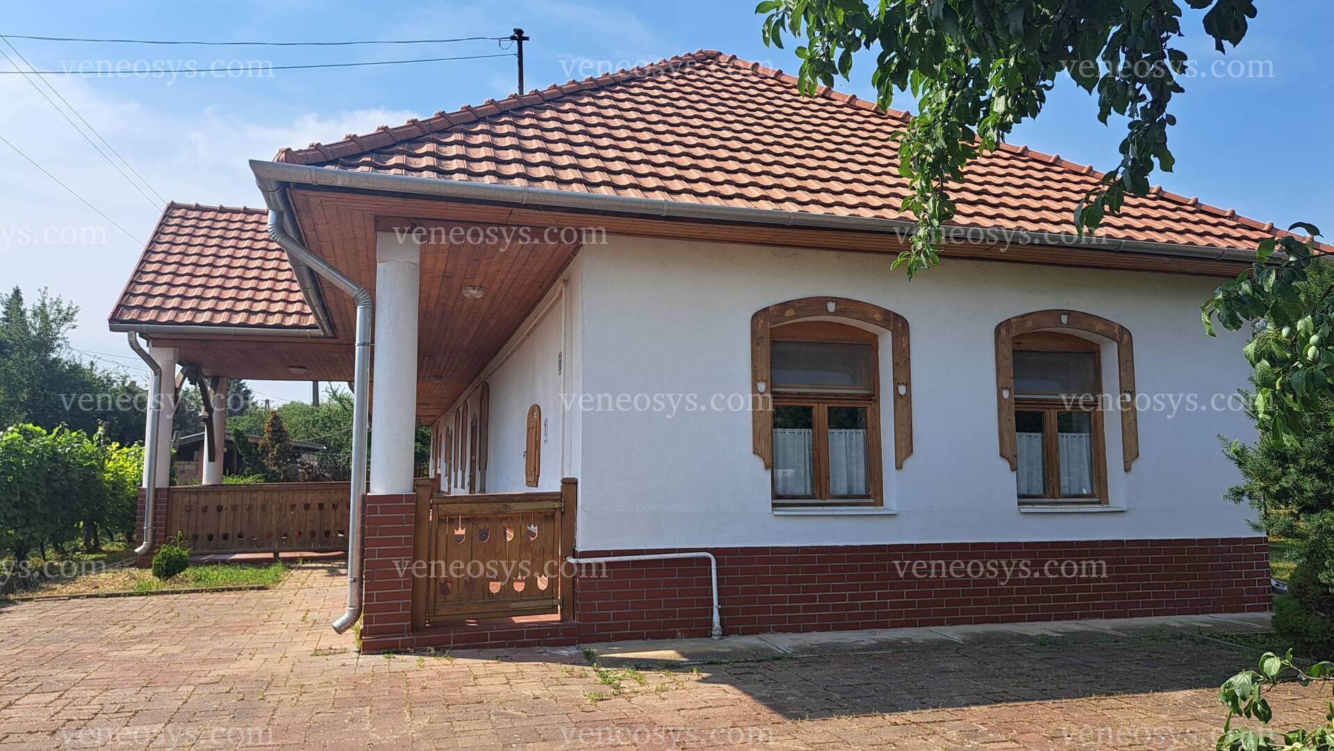 Kép 1