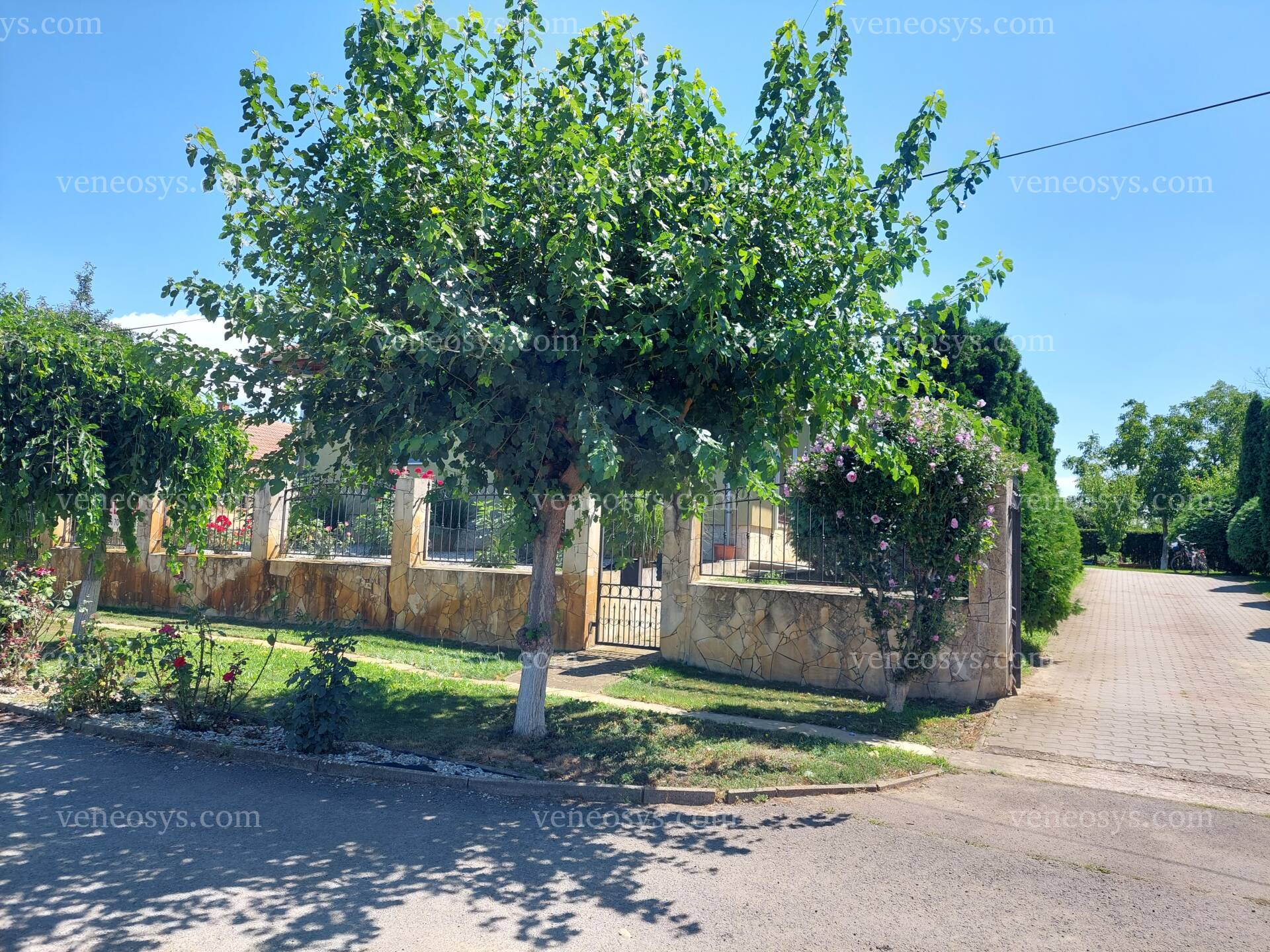 Kép 20