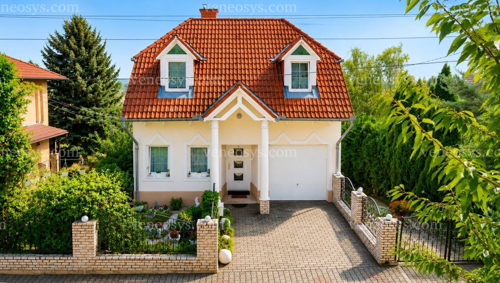 Kép 5