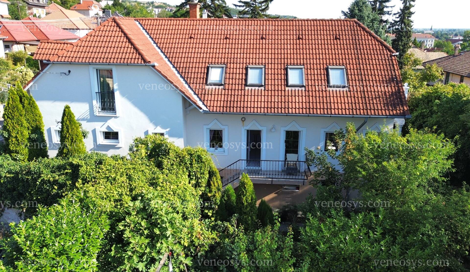 Kép 10