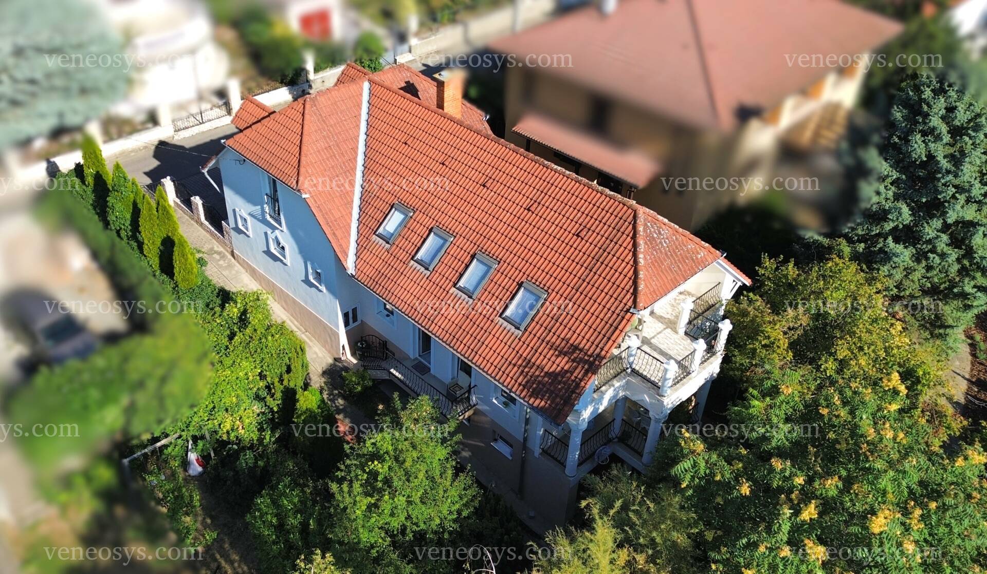 Kép 7