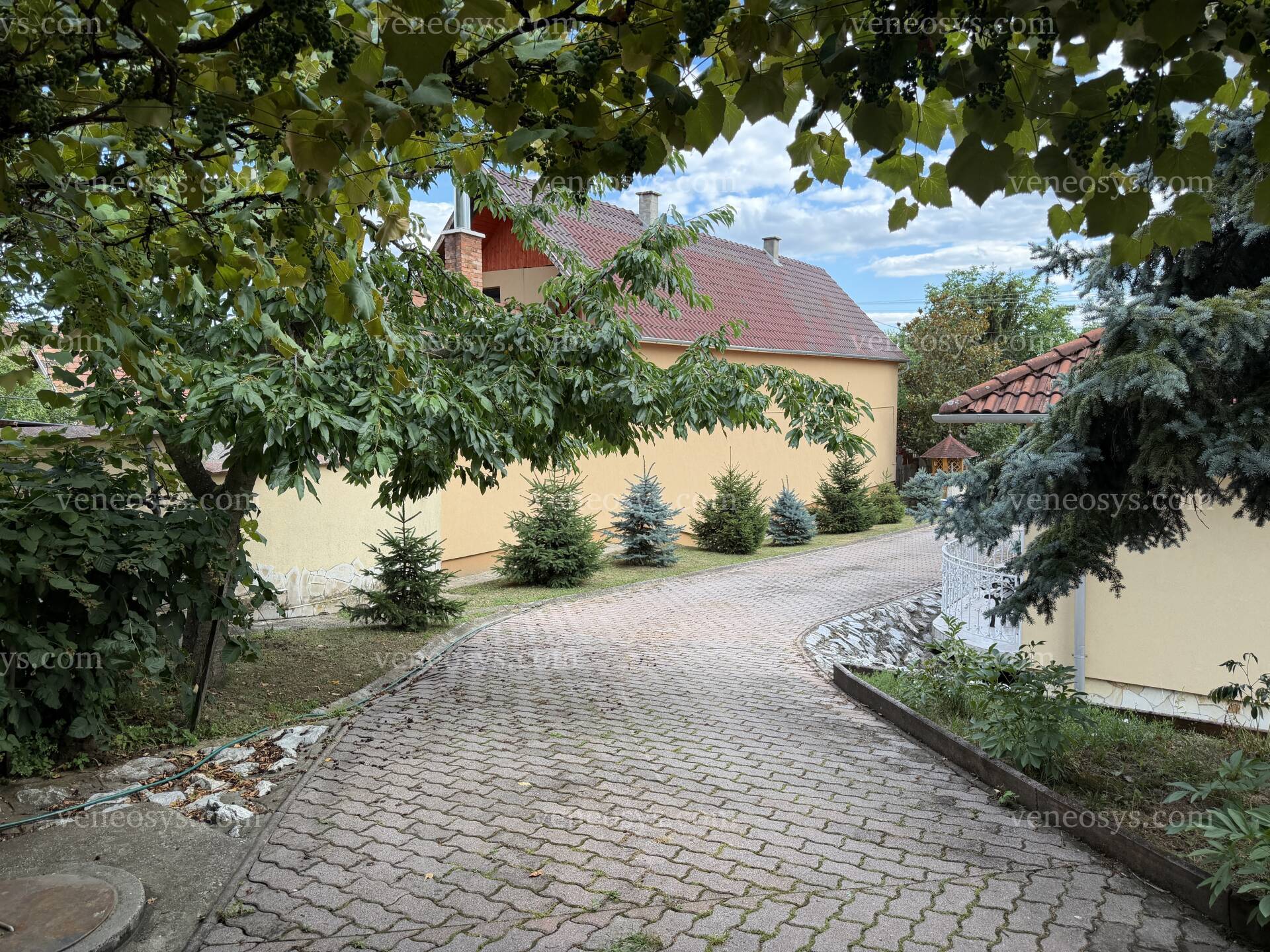 Kép 59