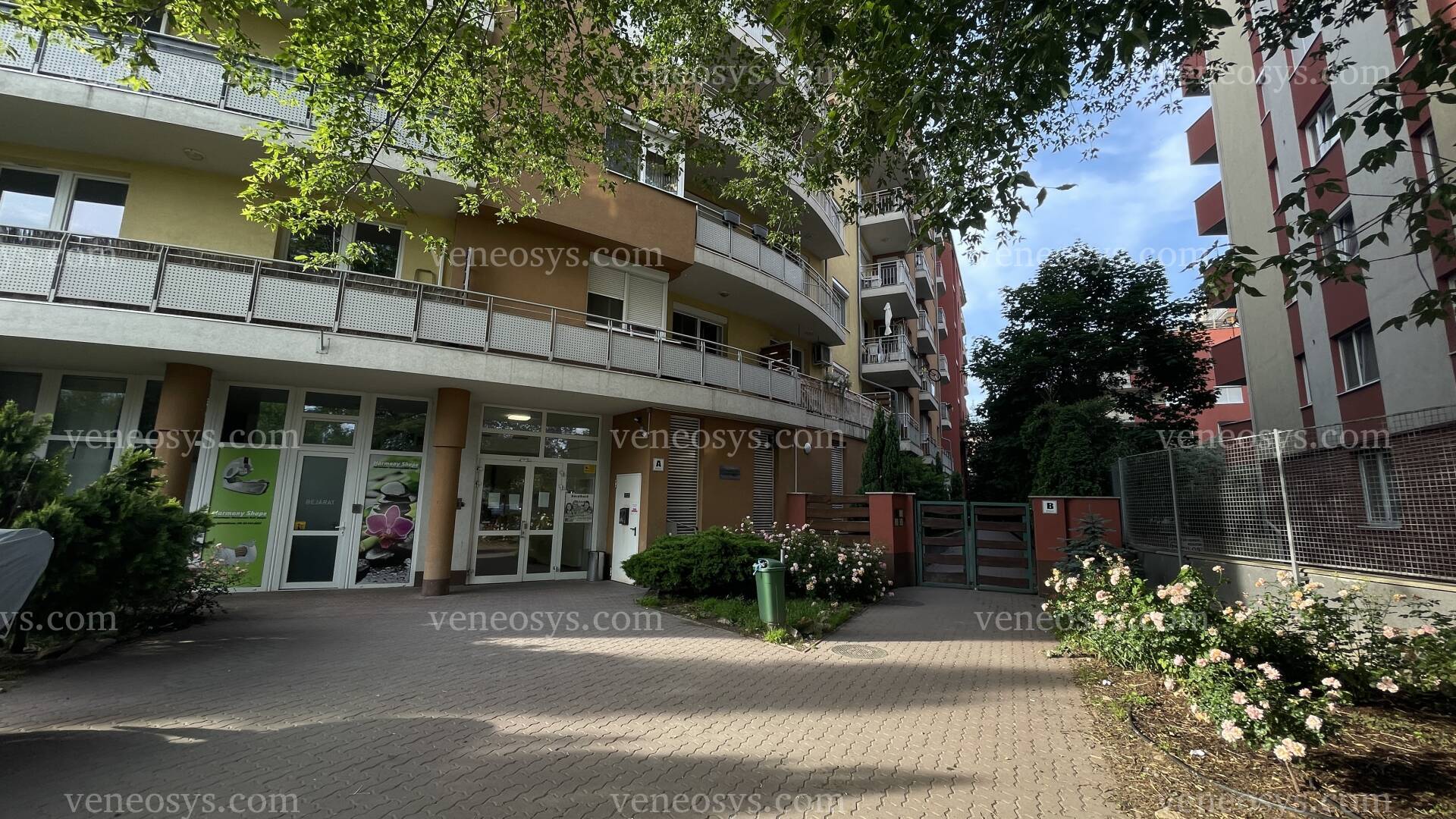 Kép 25