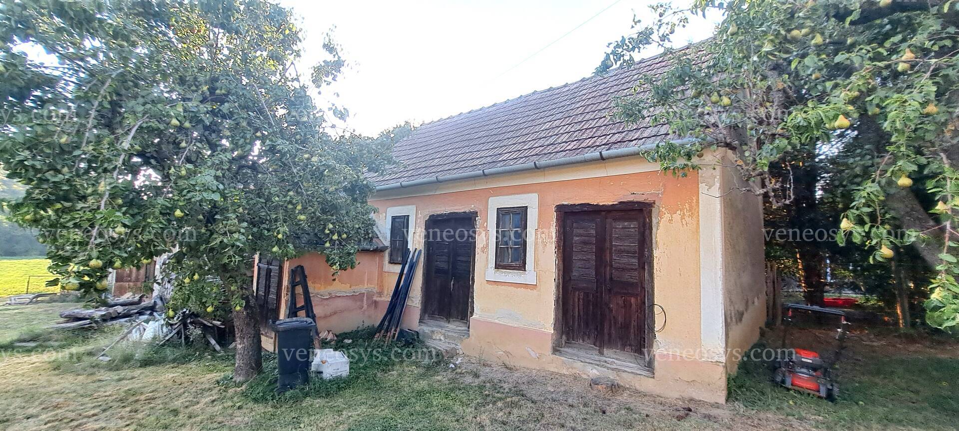 Kép 12