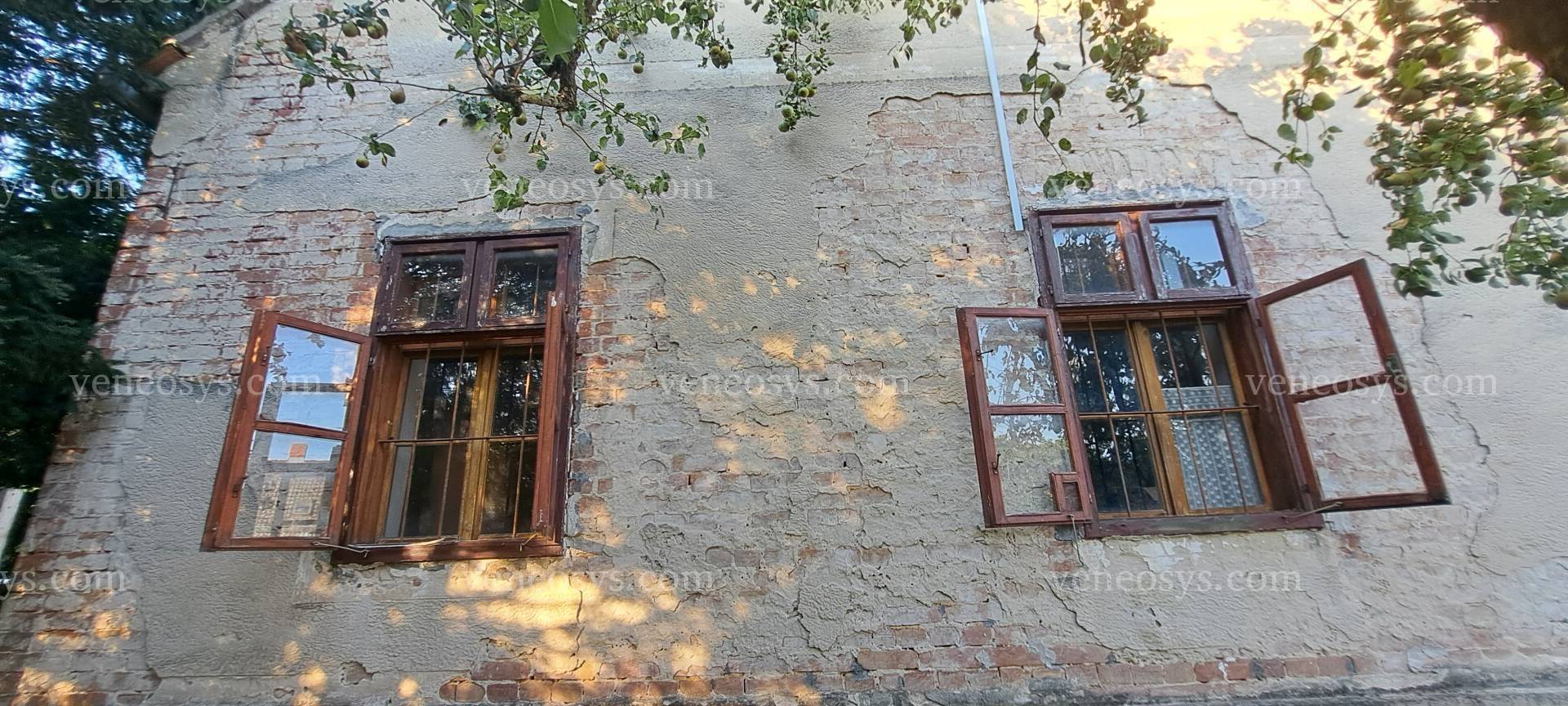 Kép 11
