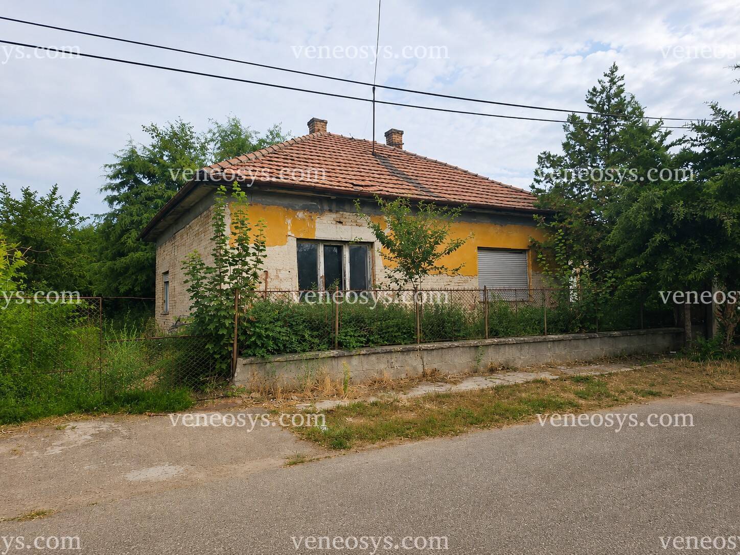 Kép 1