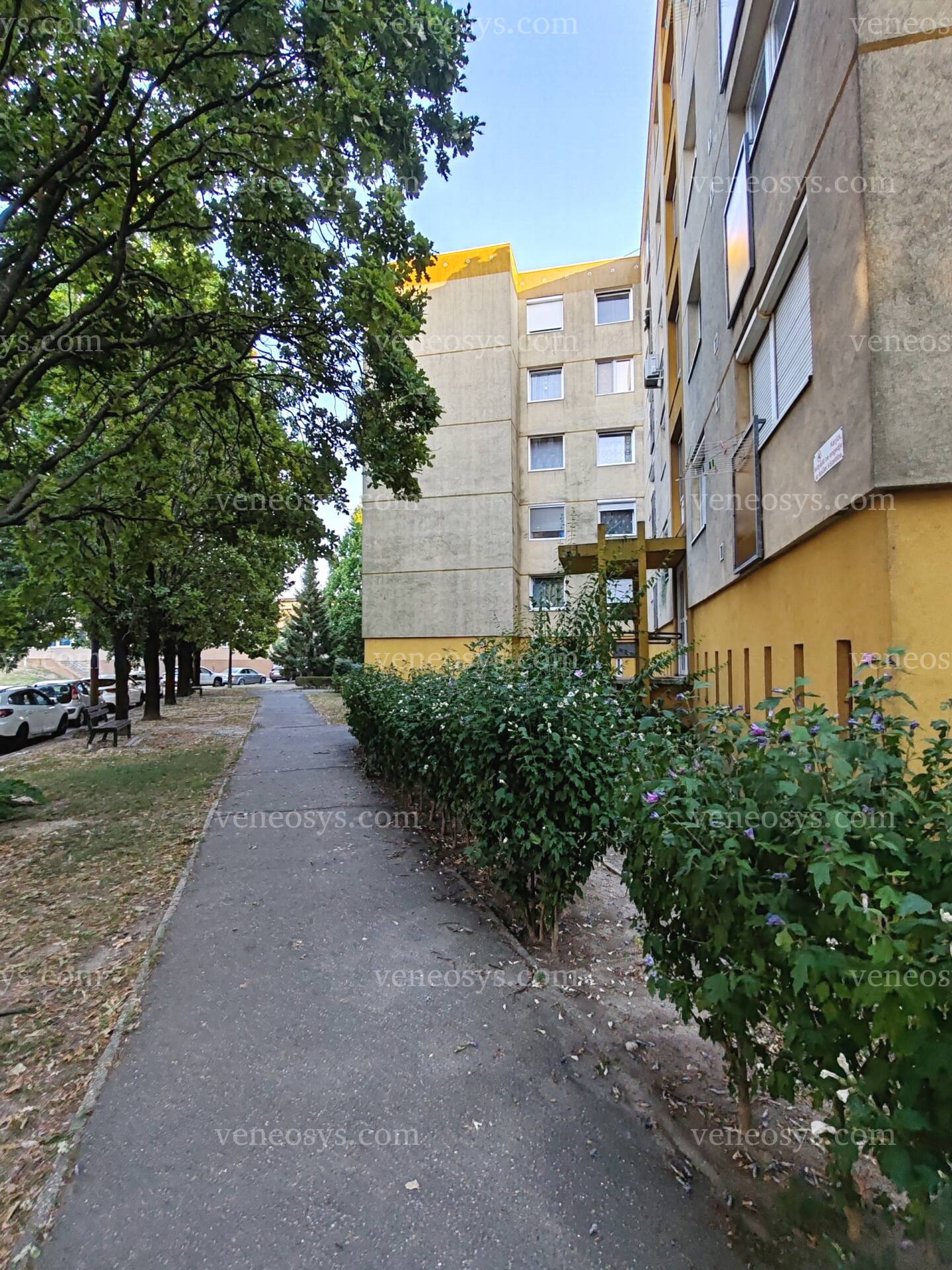 Kép 22