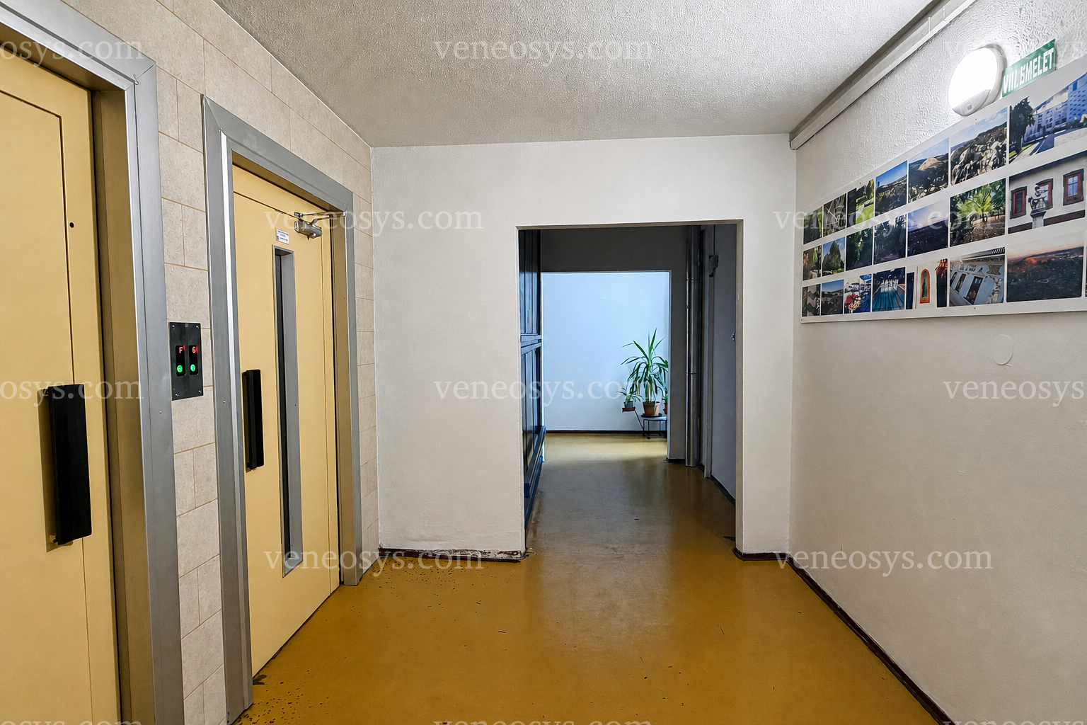 Kép 4