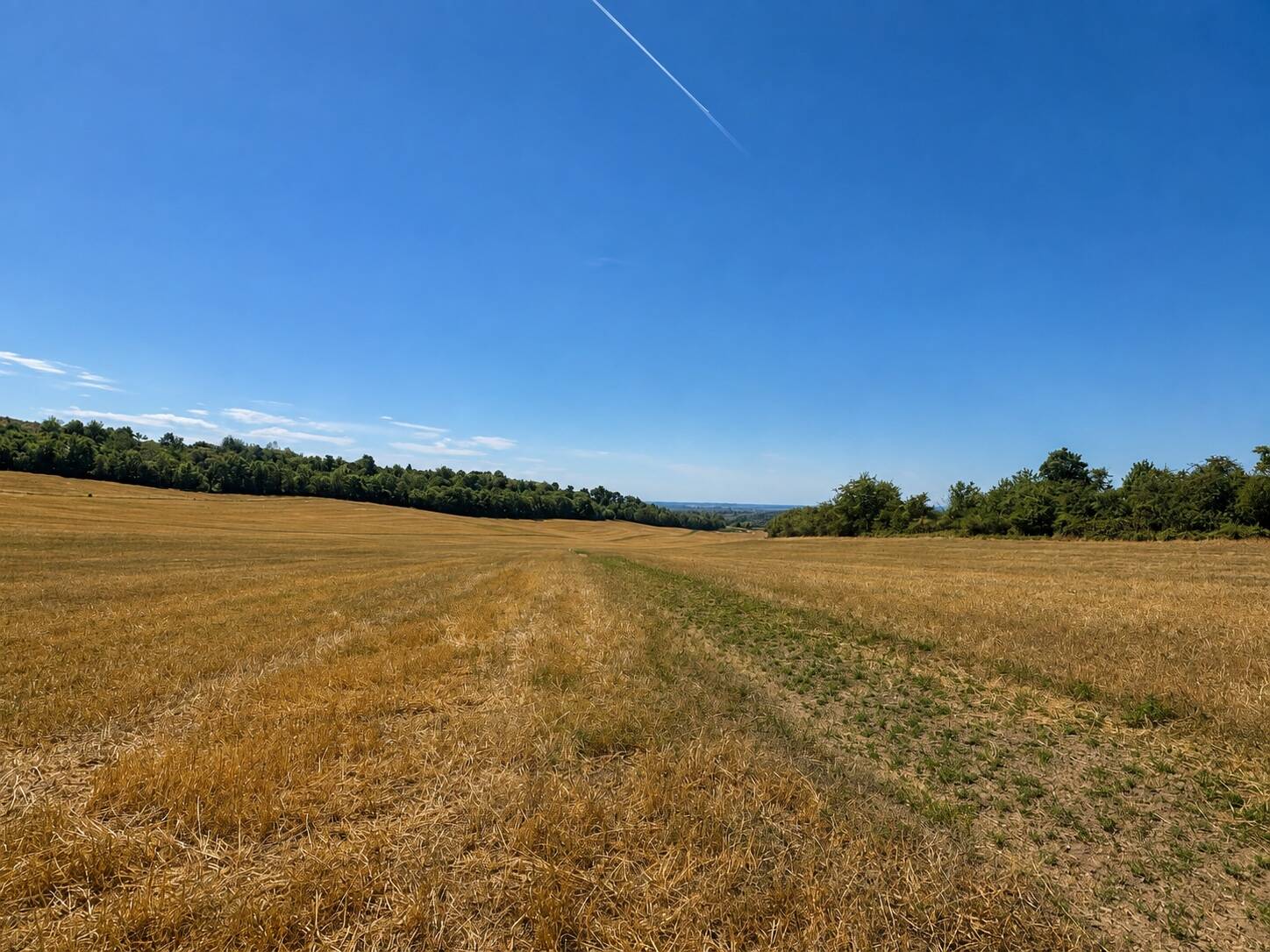Panorámás telek. Értékálló választás