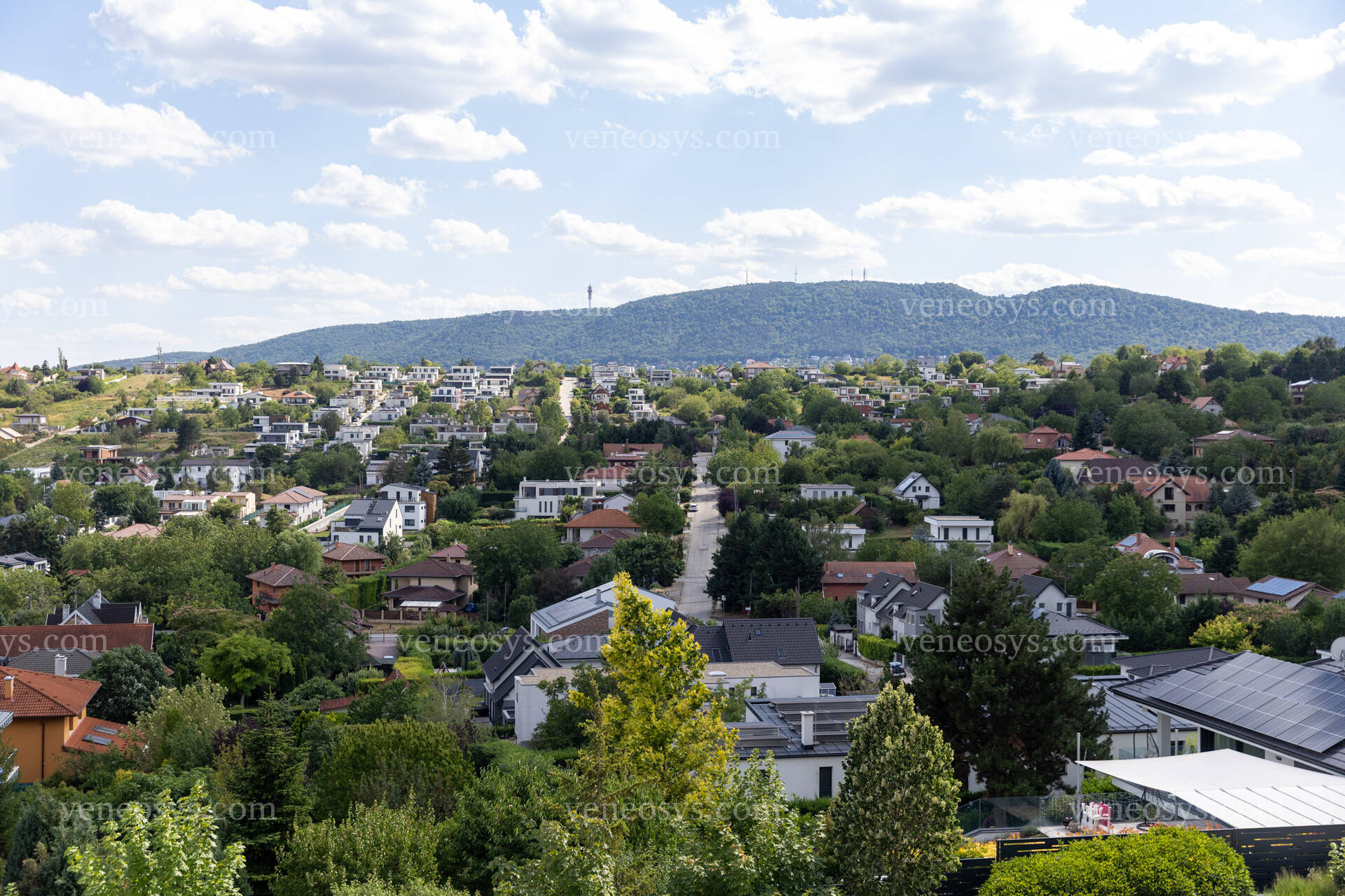 Kép 7