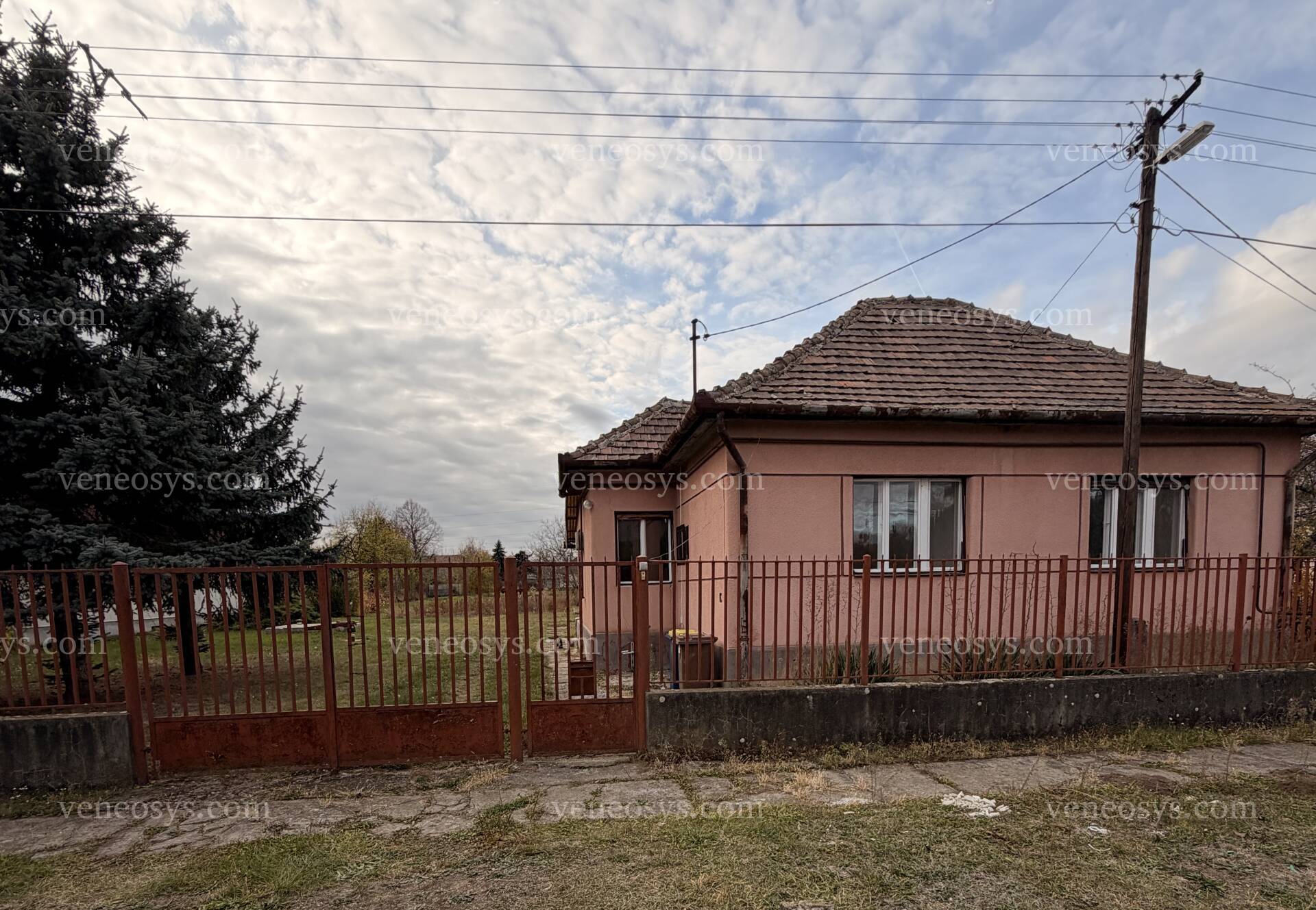 Kép 1
