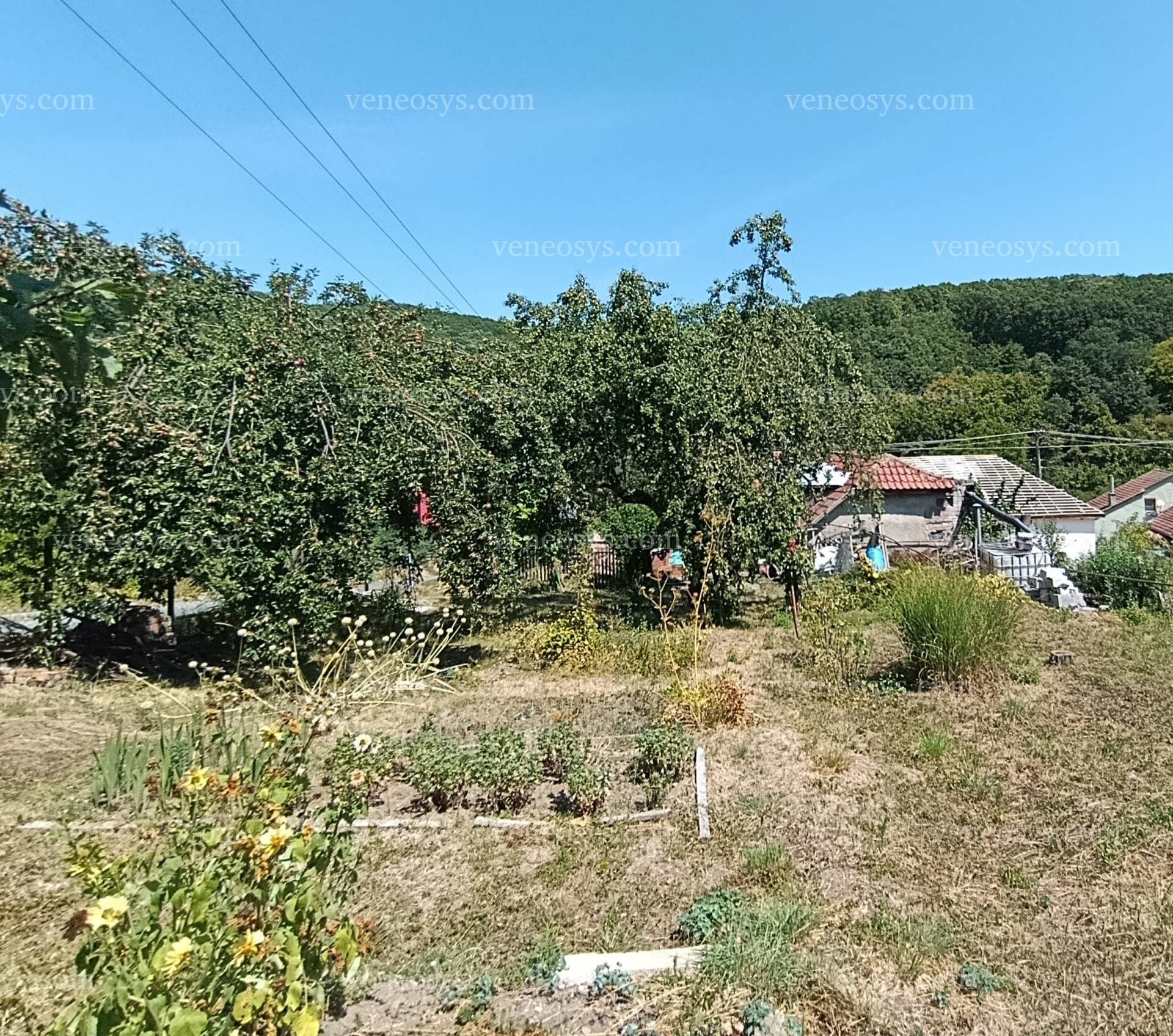Kép 15