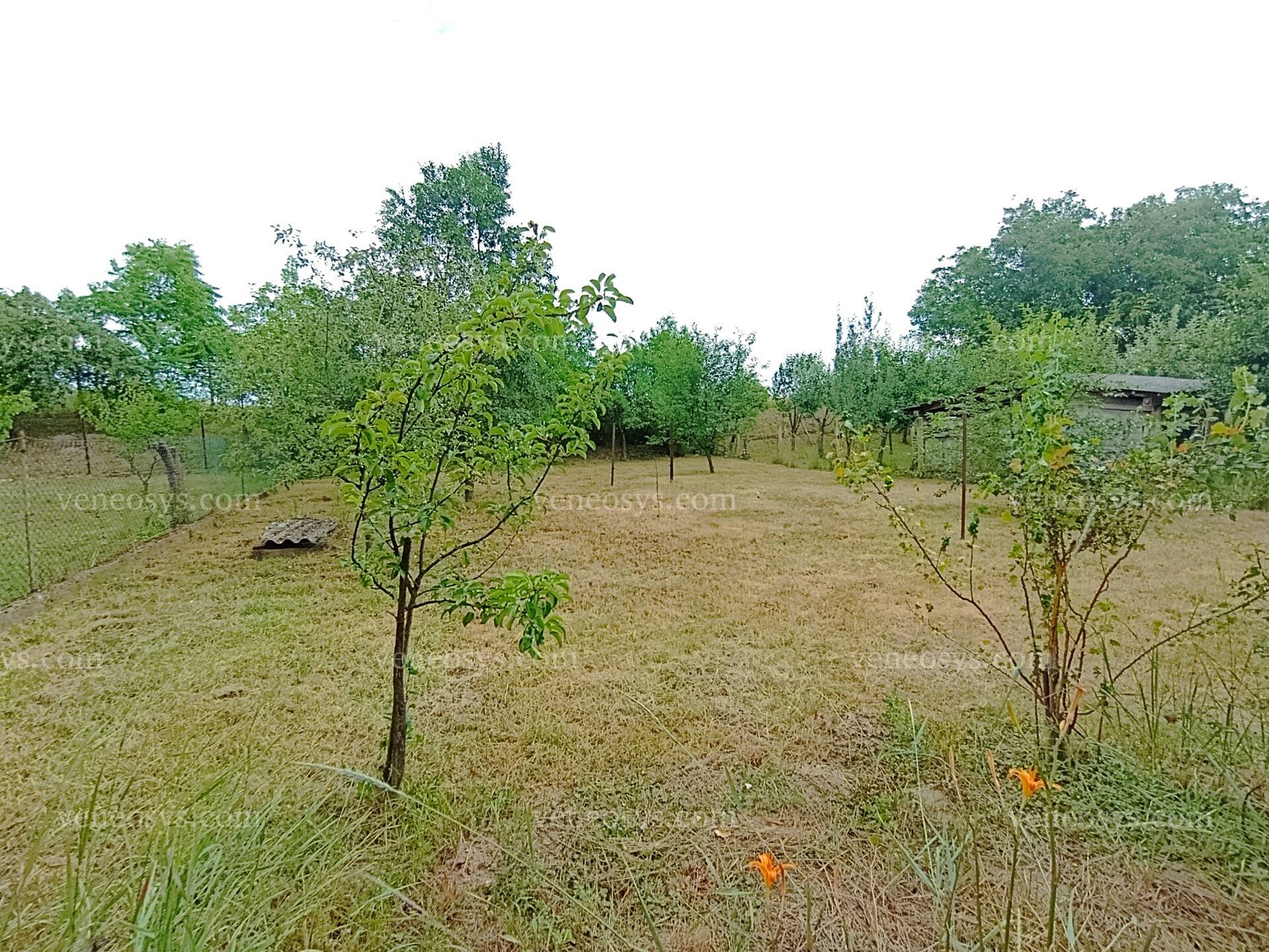 Kép 6