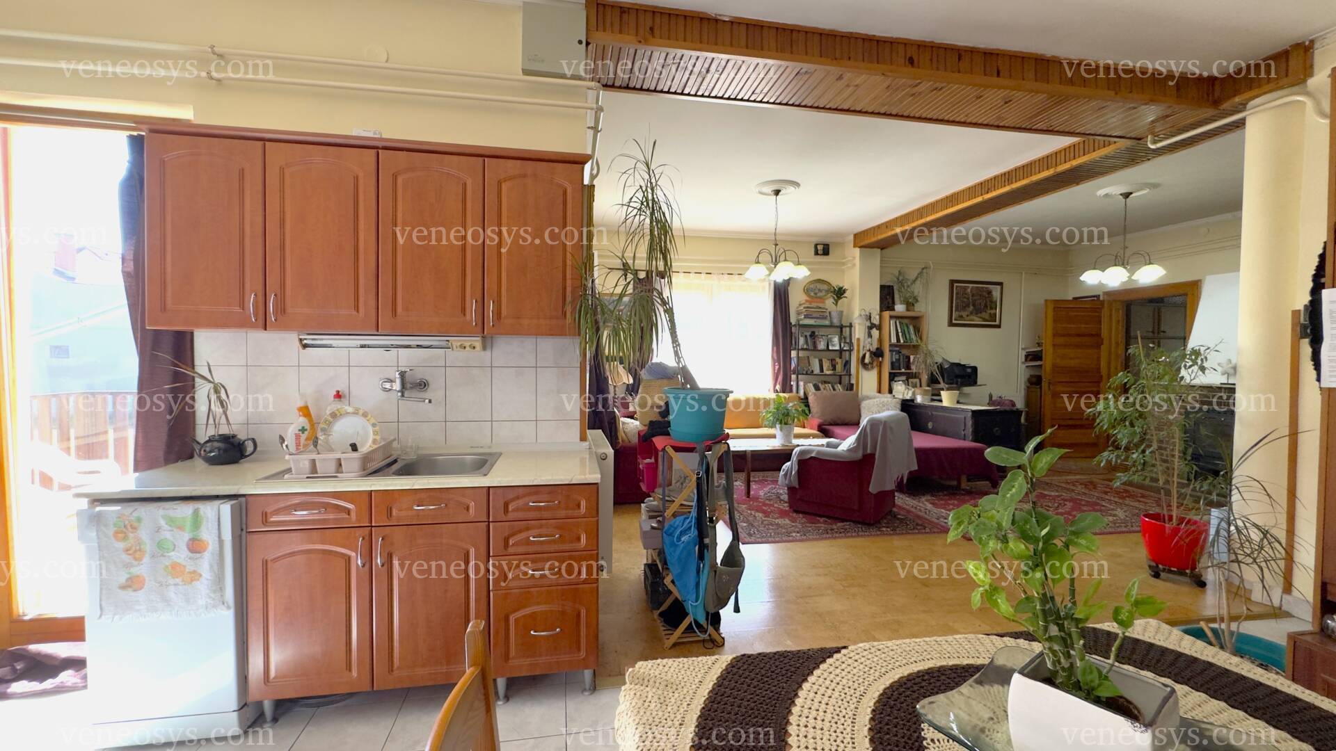 Kép 7
