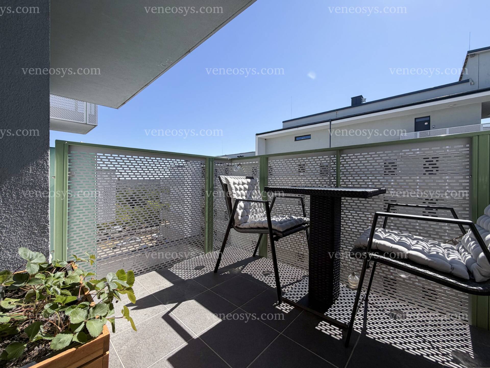 Kép 22