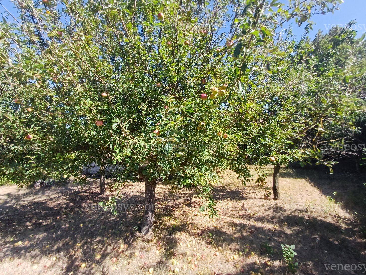 Kép 21