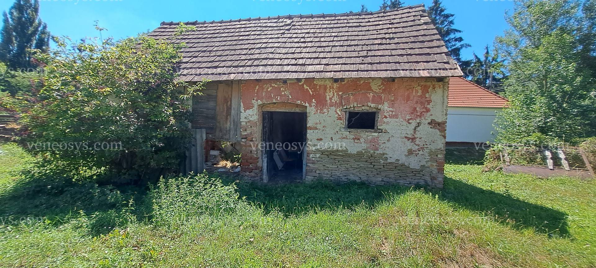 Kép 19