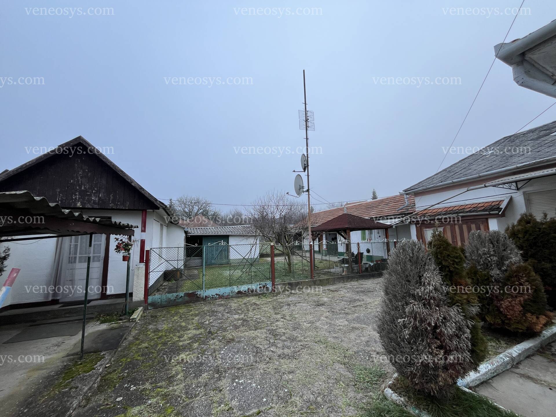 Kép 5