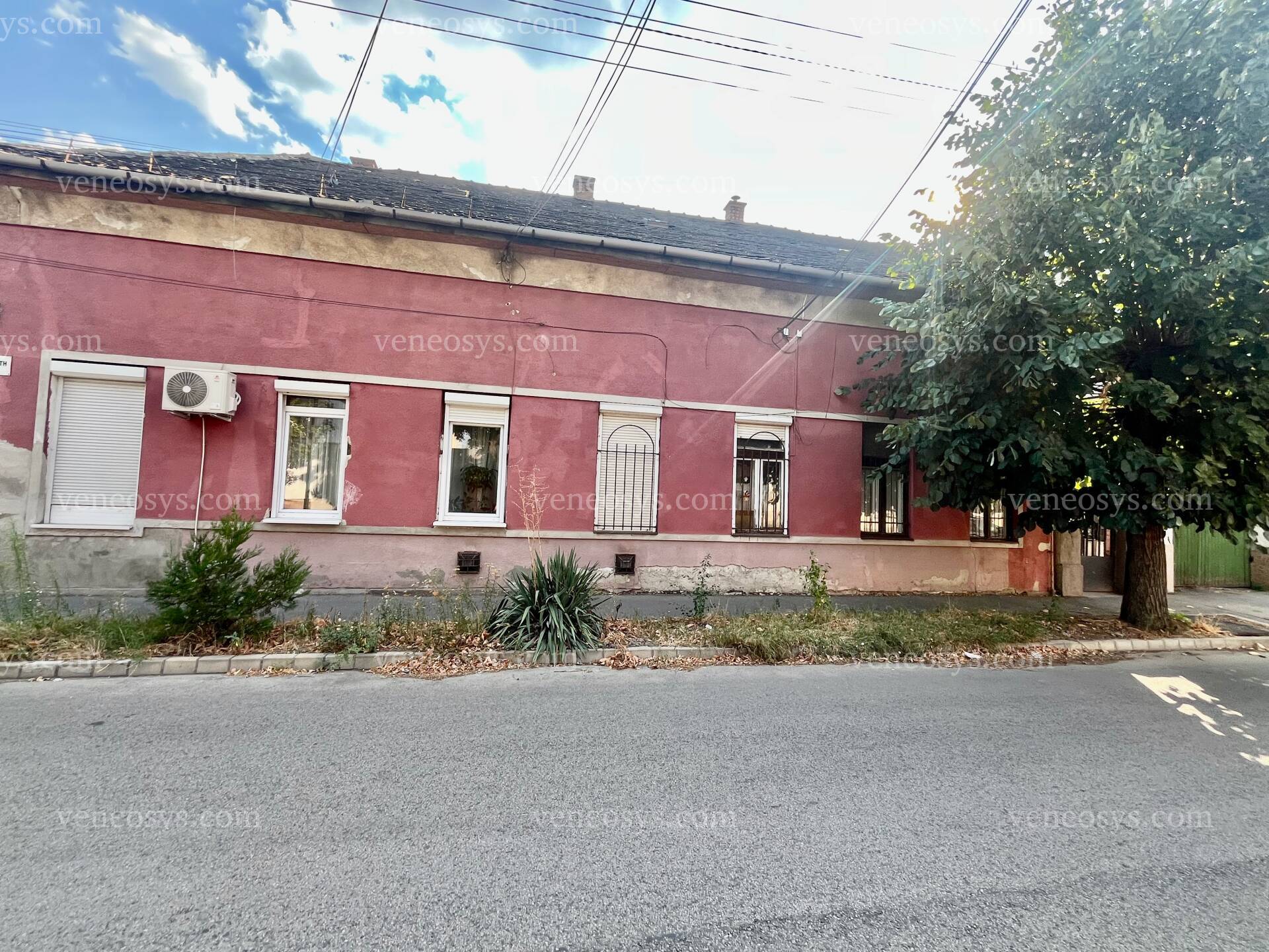 Kép 10