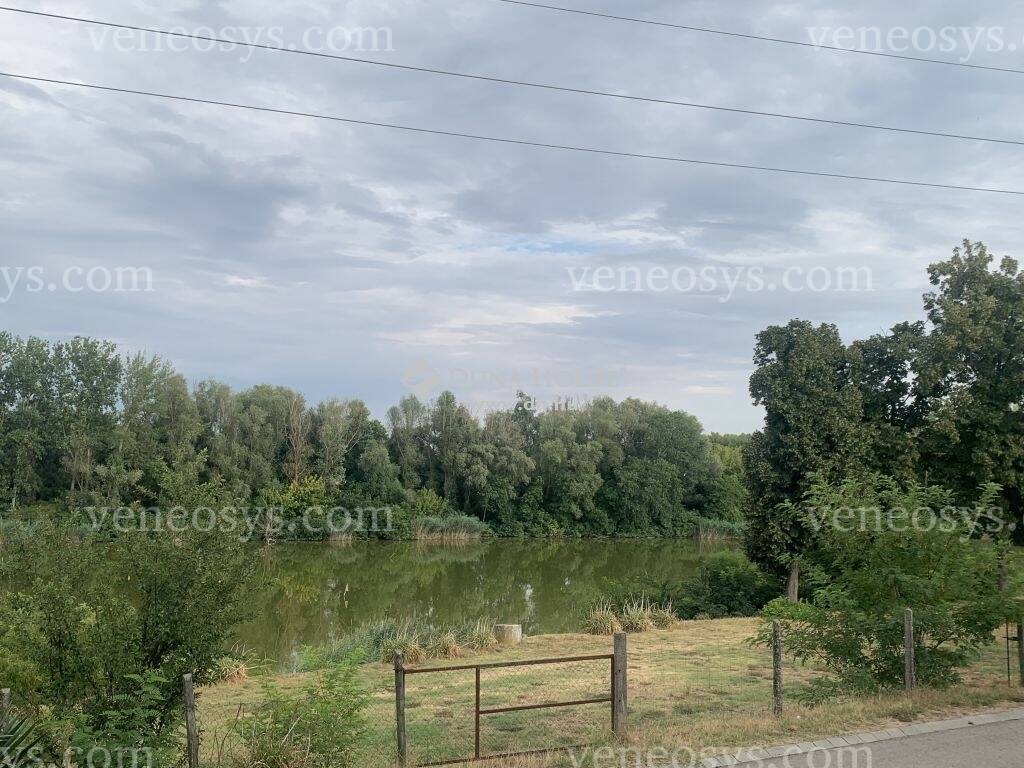 Kép 19