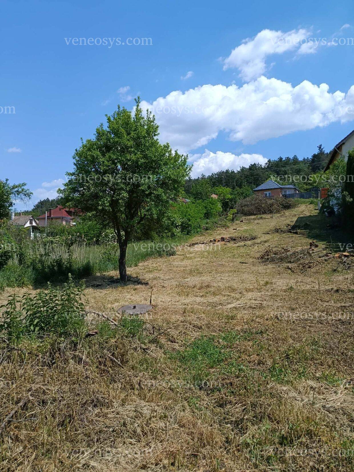 Kép 4