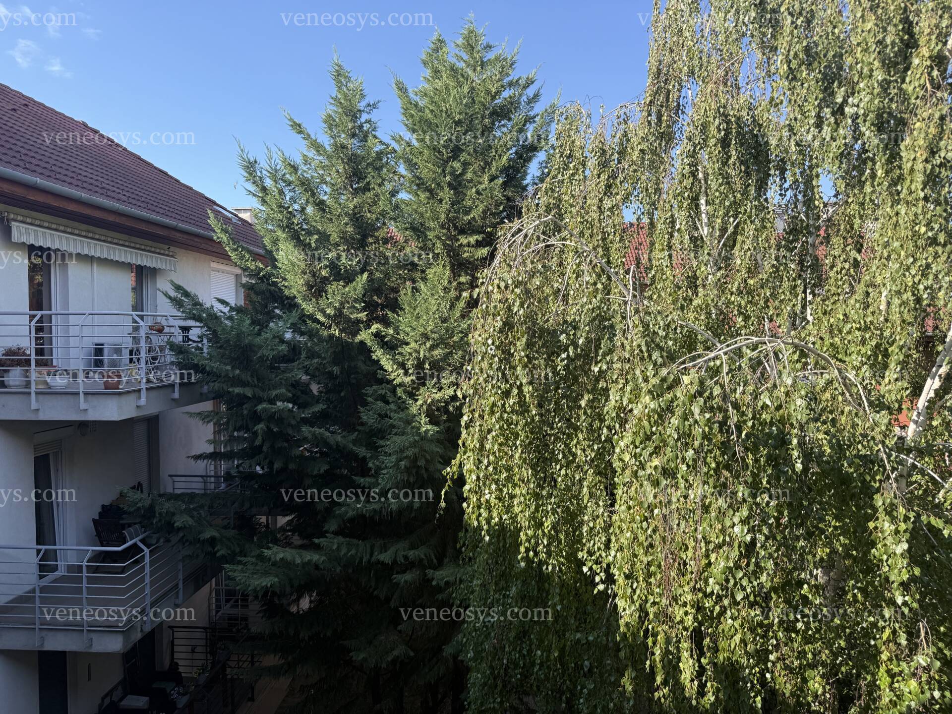 Kép 15