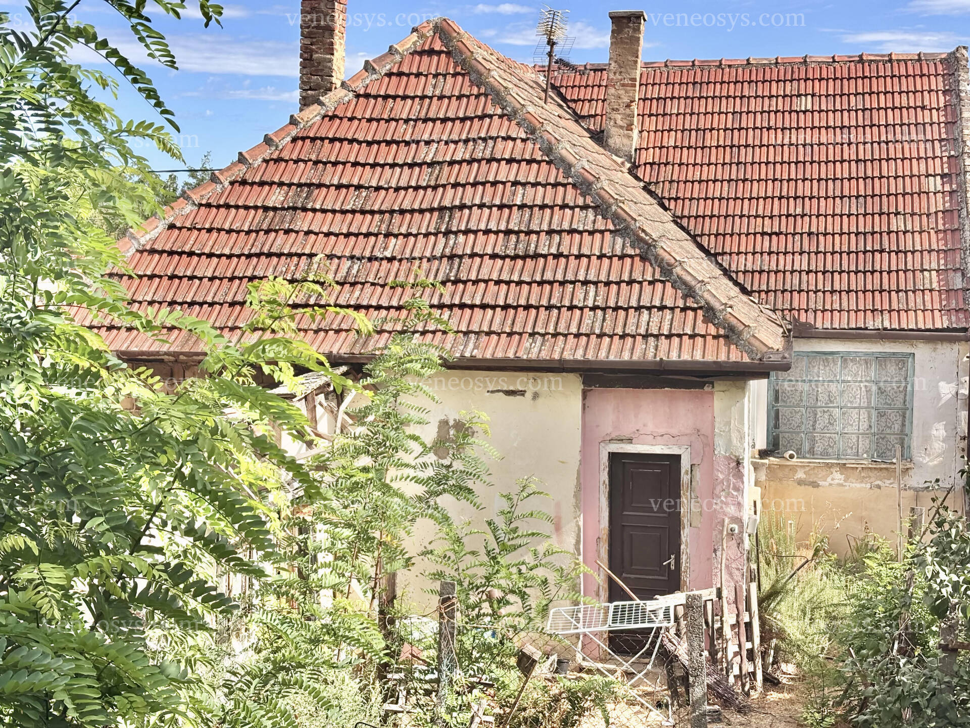 Kép 14