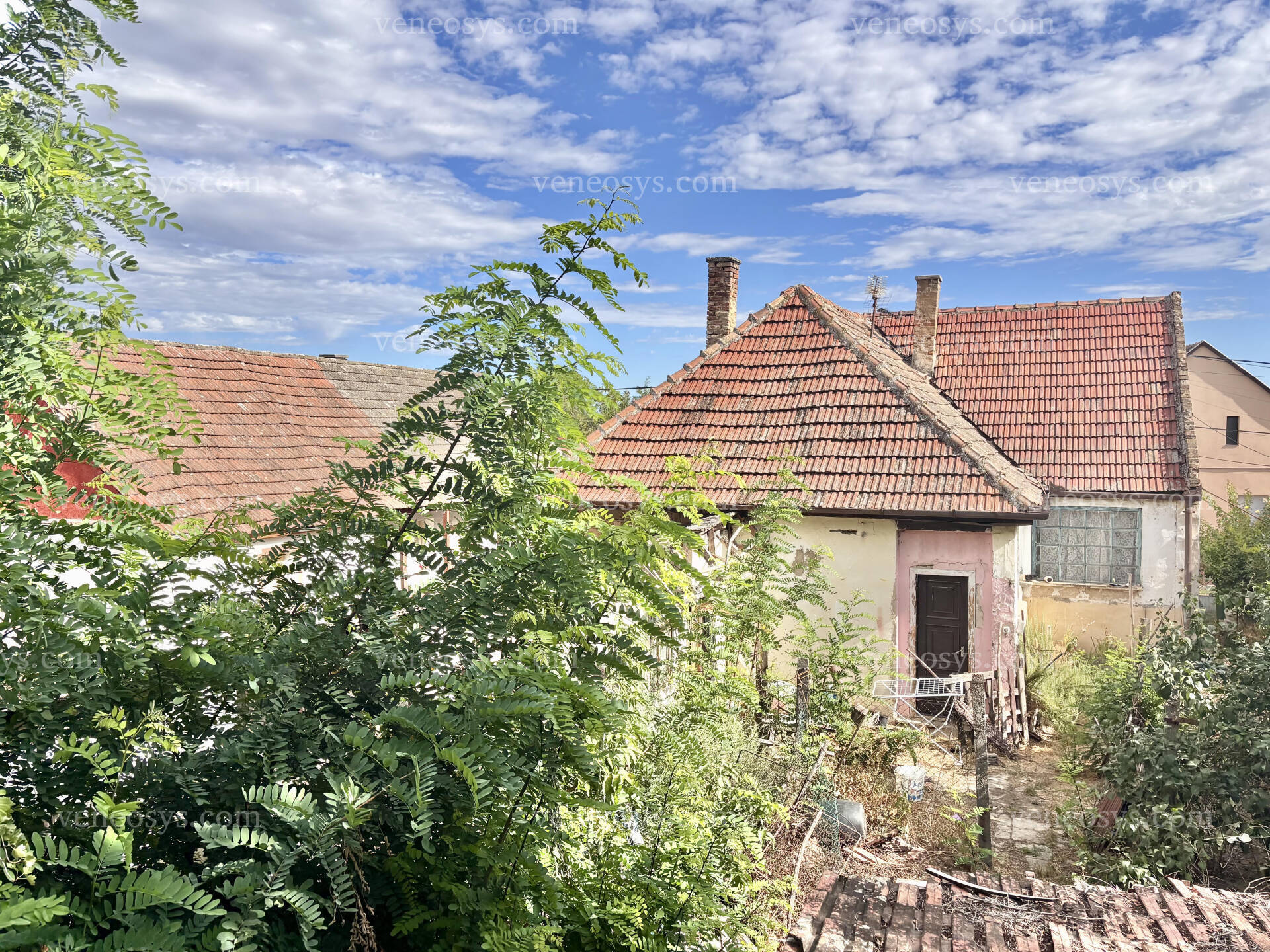 Kép 15