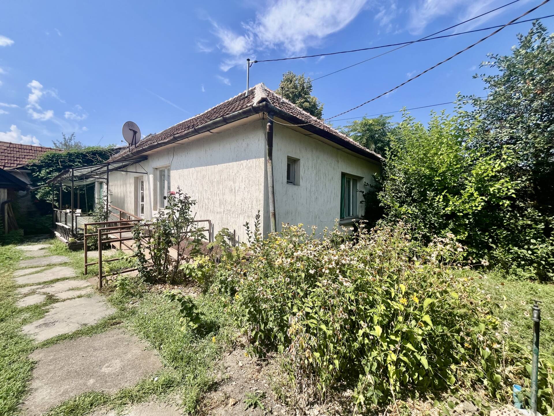 Kép 1