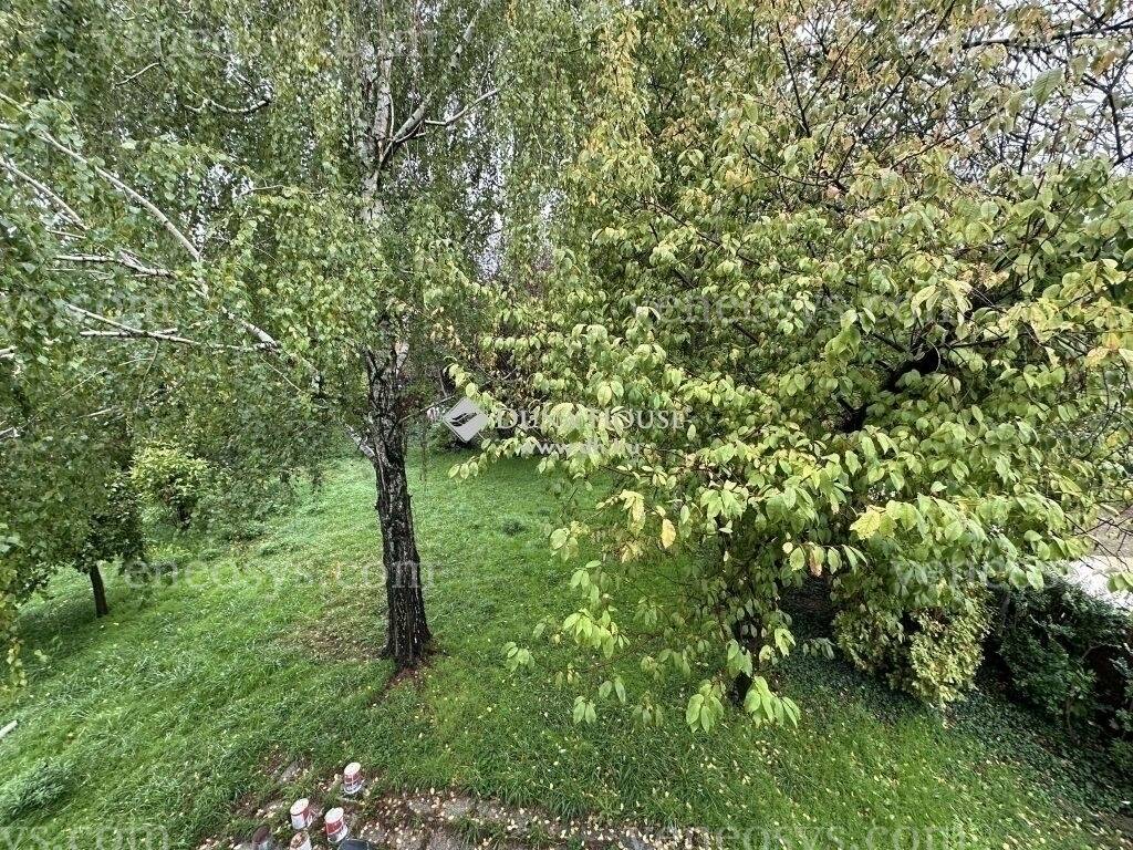 Kép 5