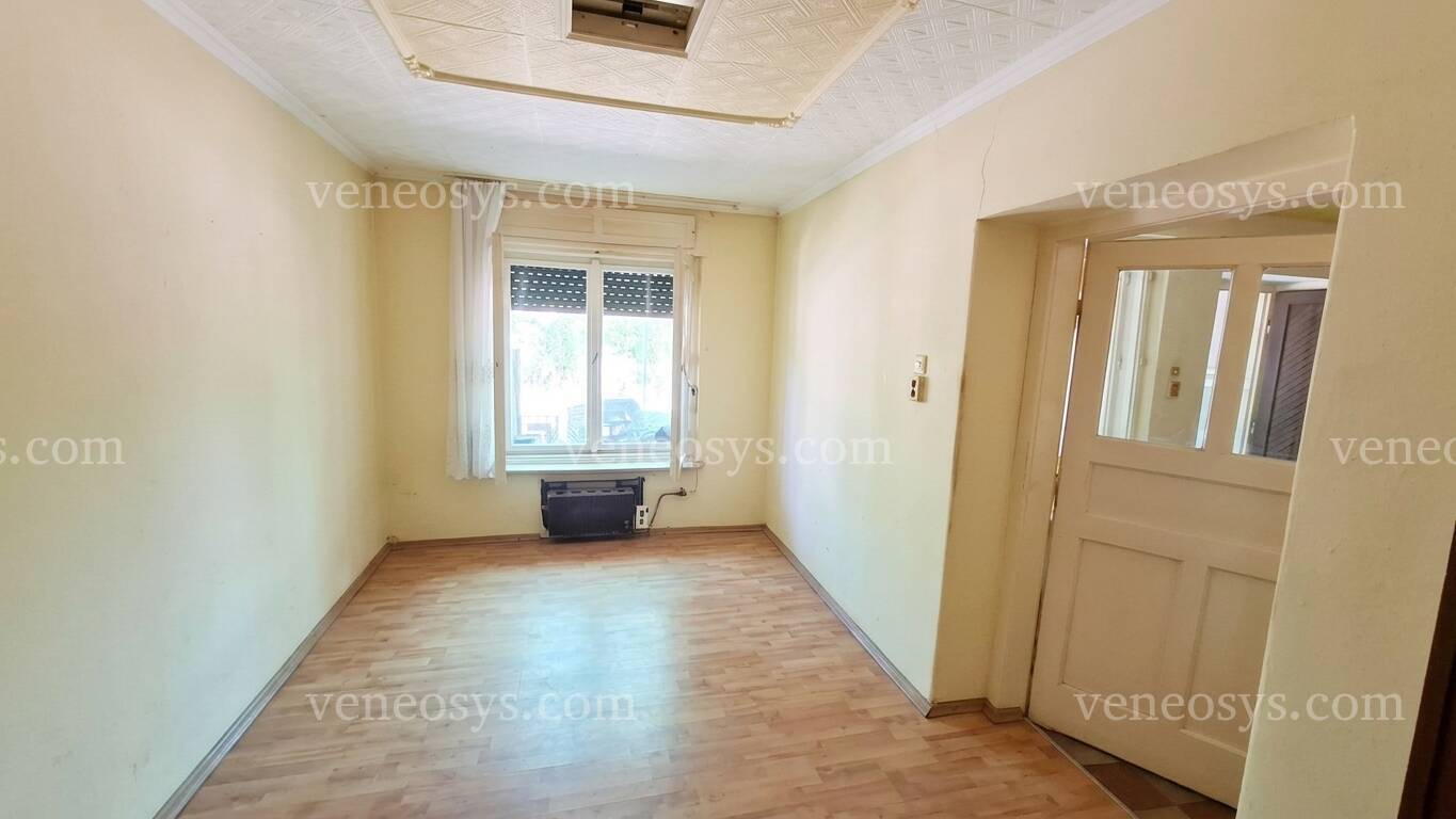 Kép 5