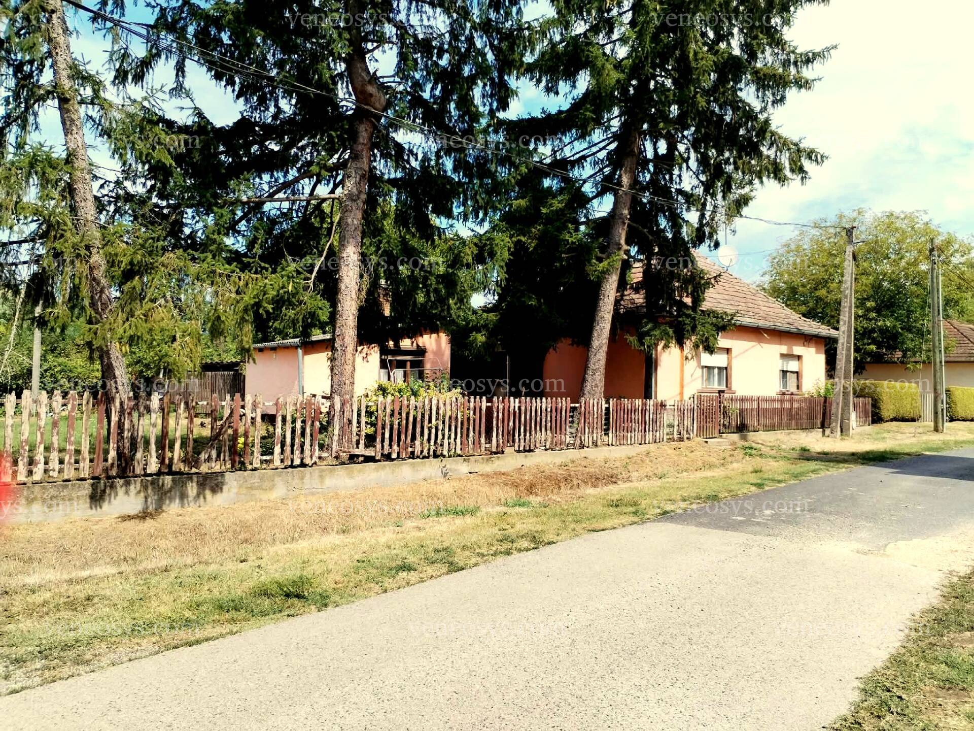Kép 11
