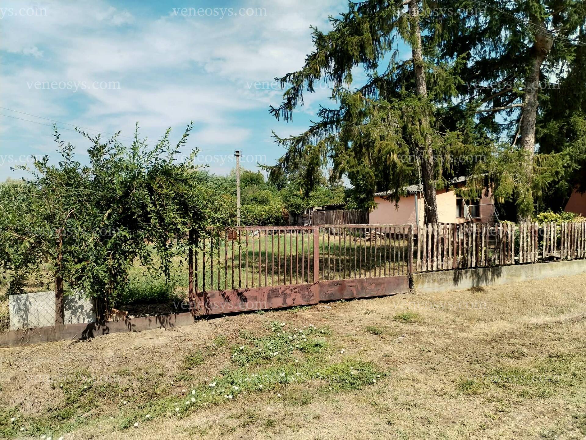 Kép 15