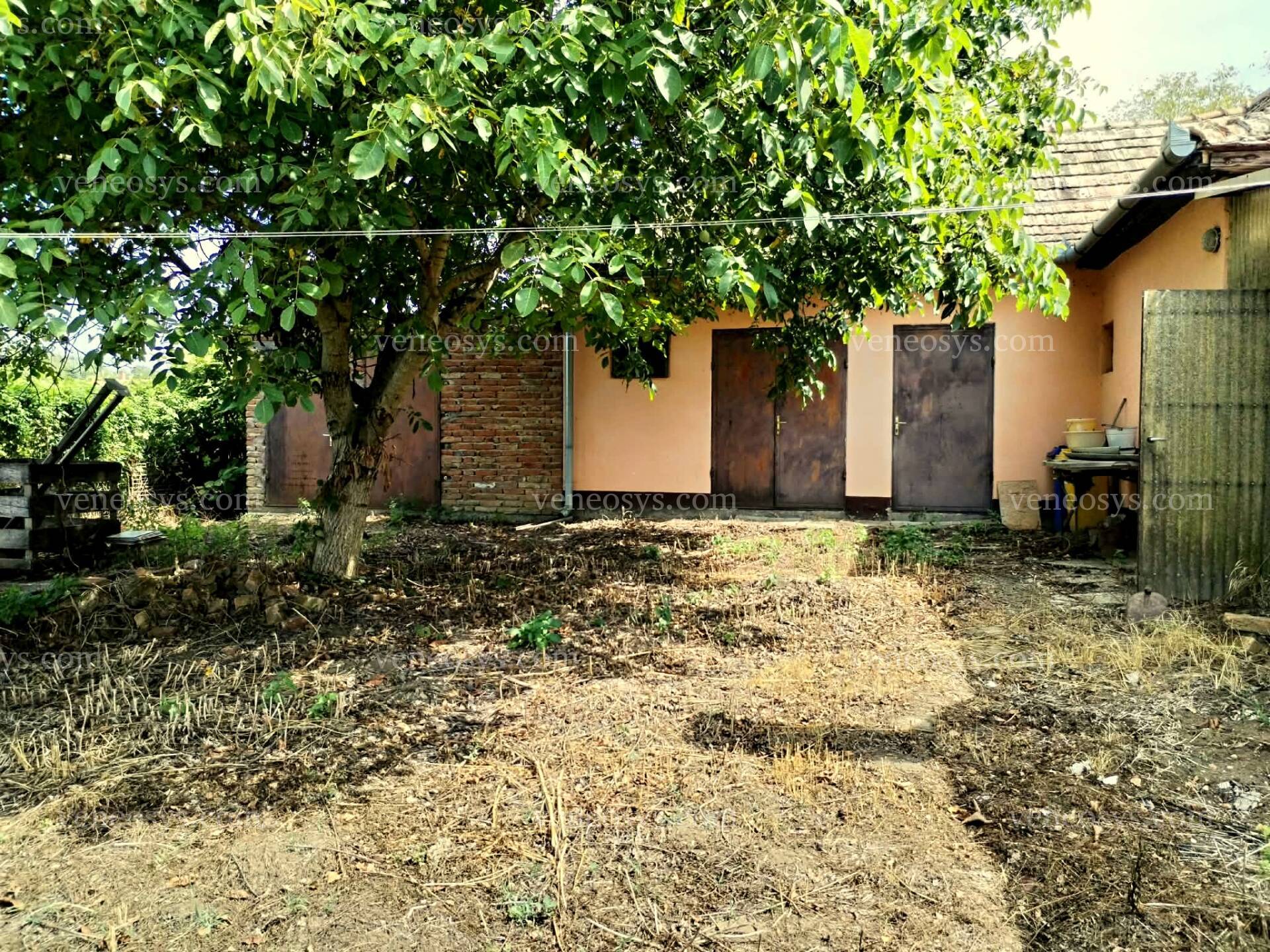 Kép 13