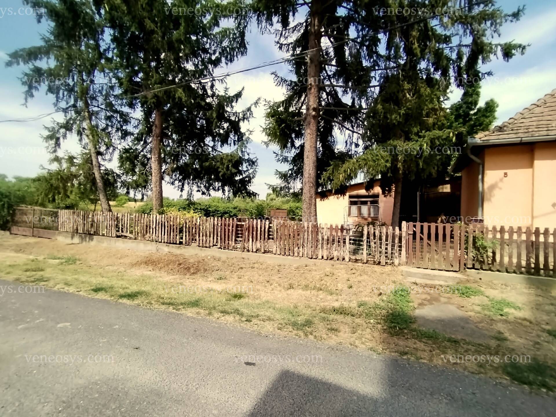 Kép 12