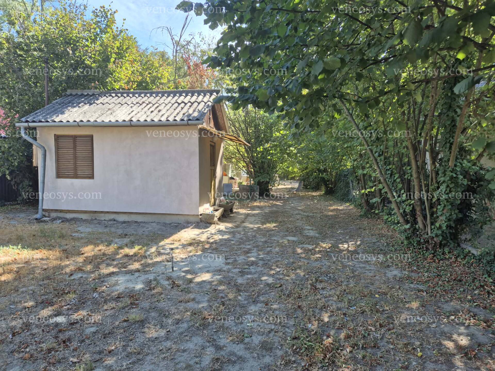 Kép 7