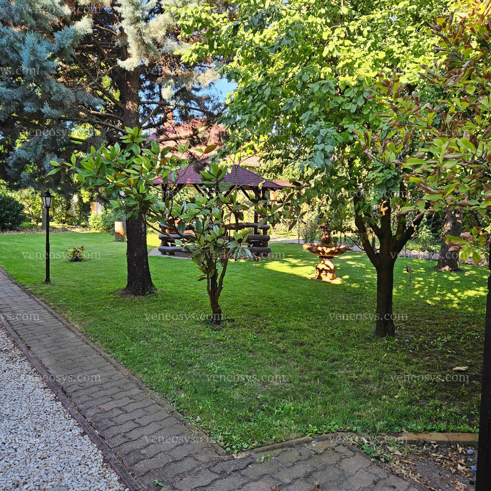 Kép 15