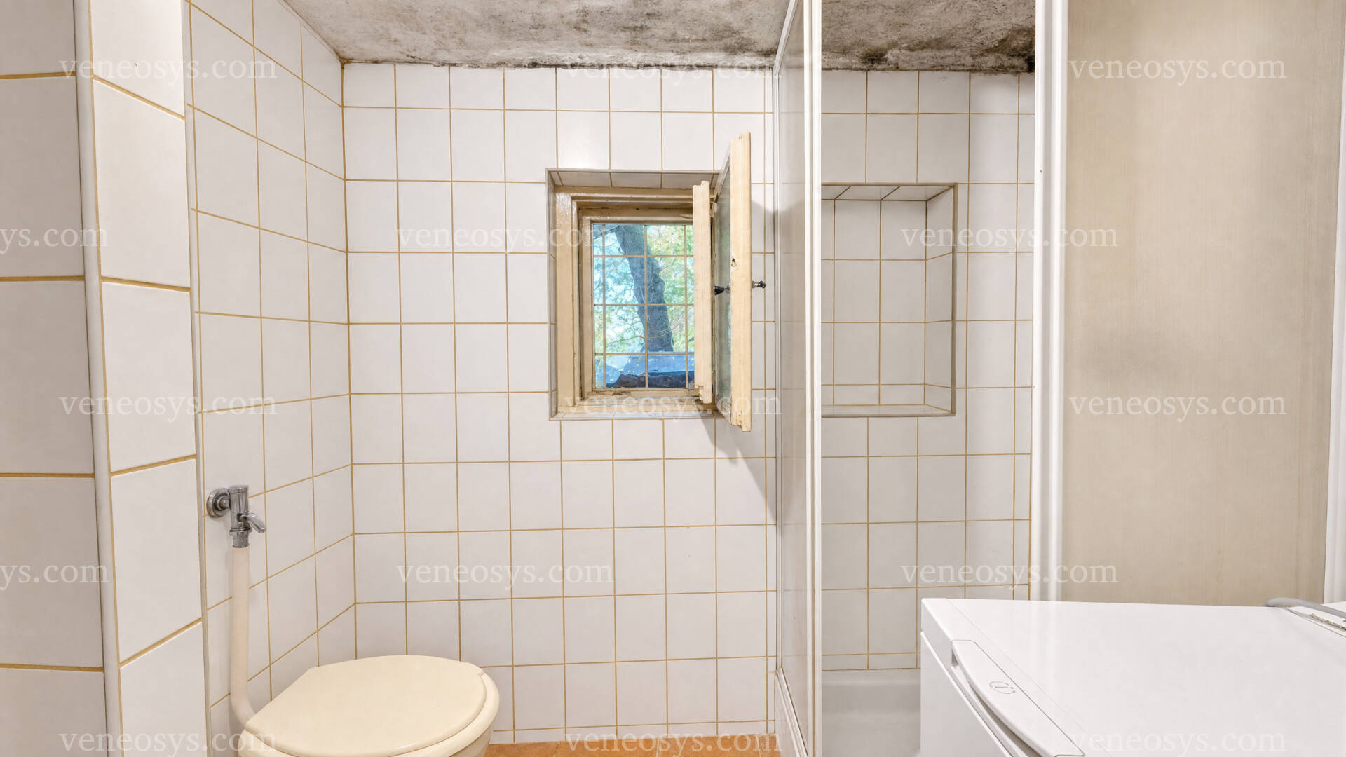 Kép 17