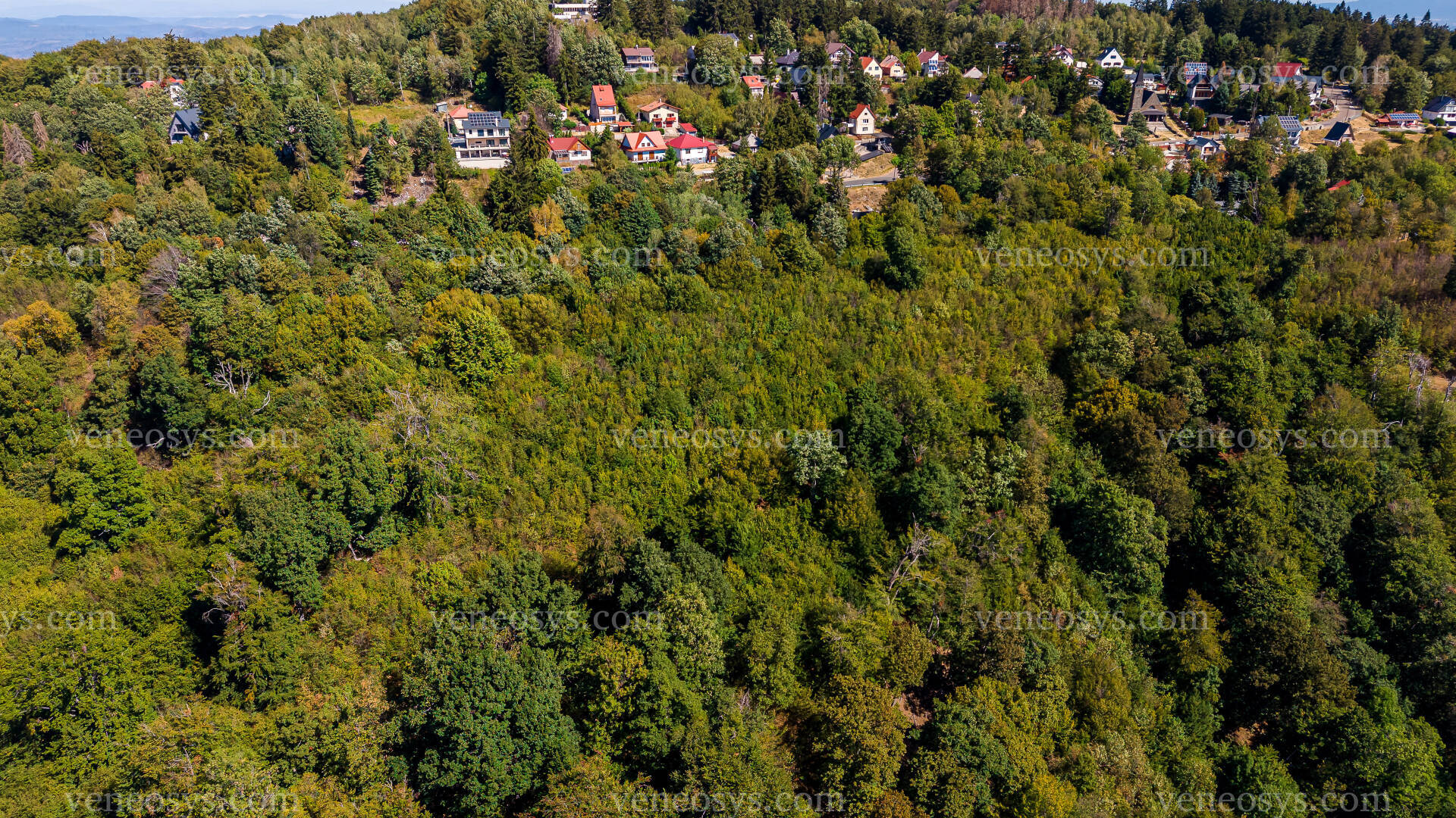 Kép 5