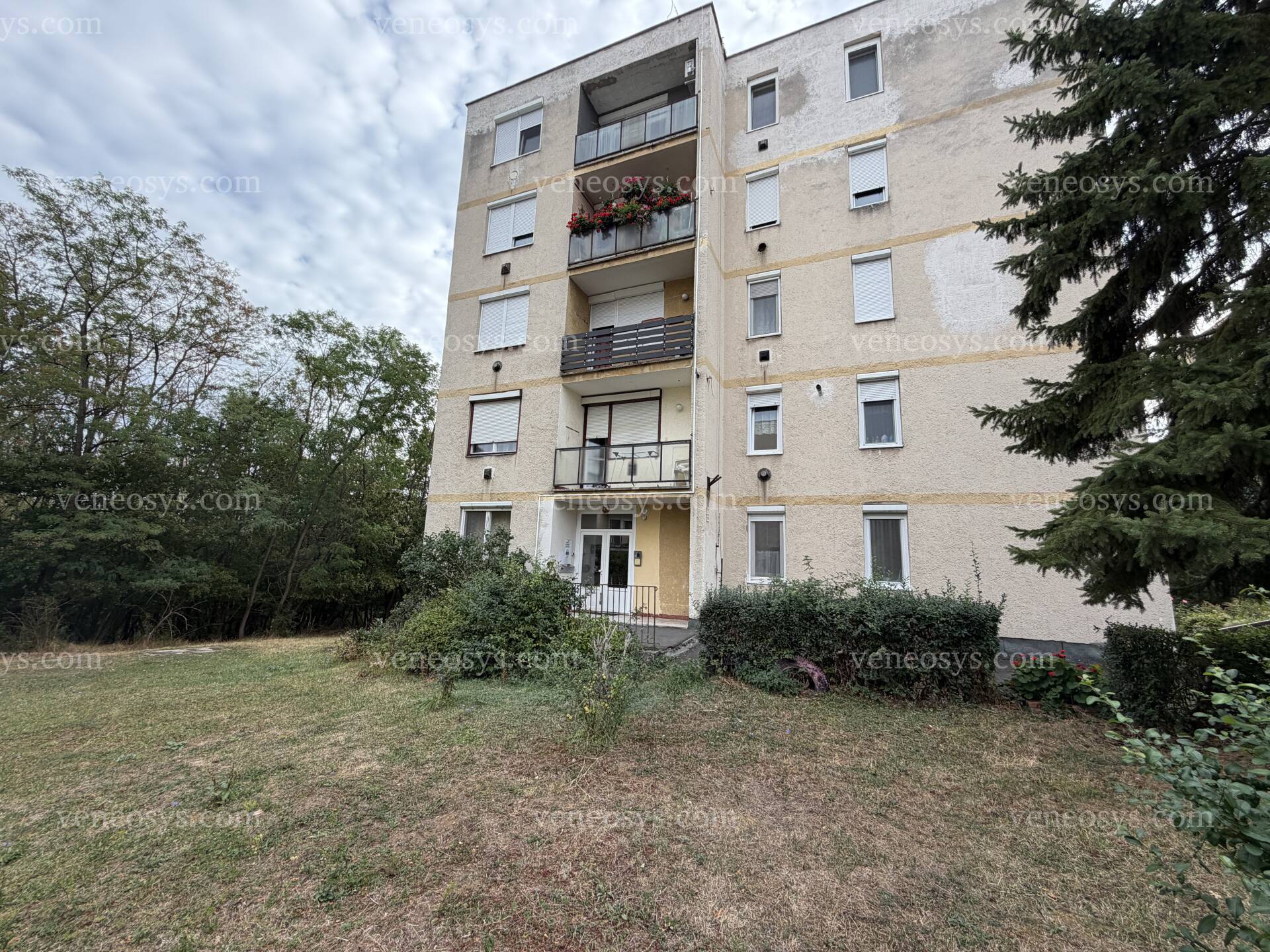 Kép 14