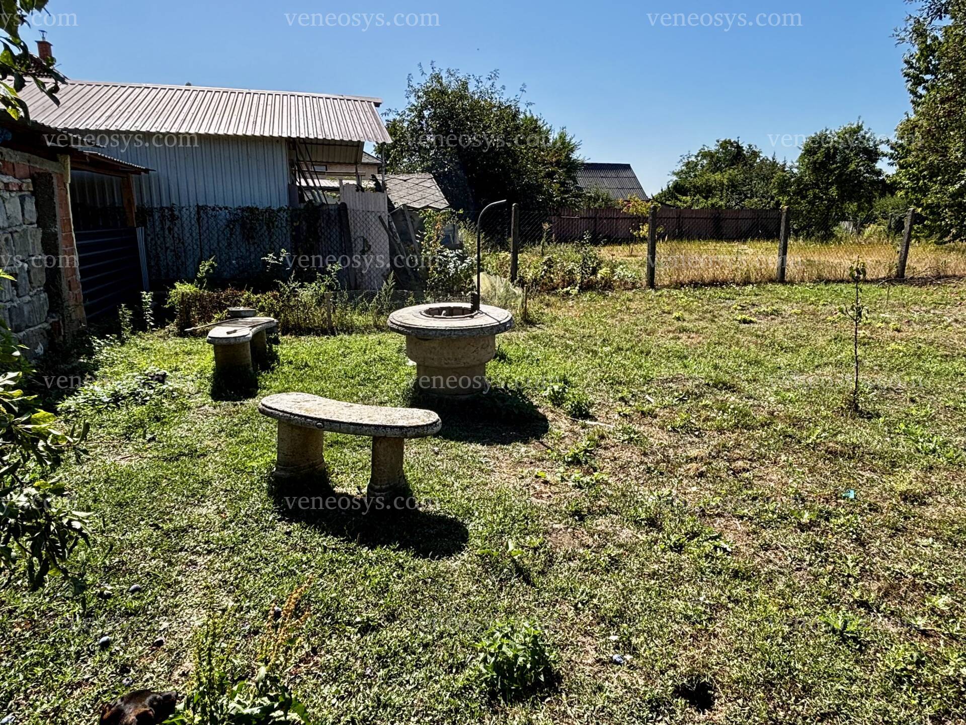 Kép 15