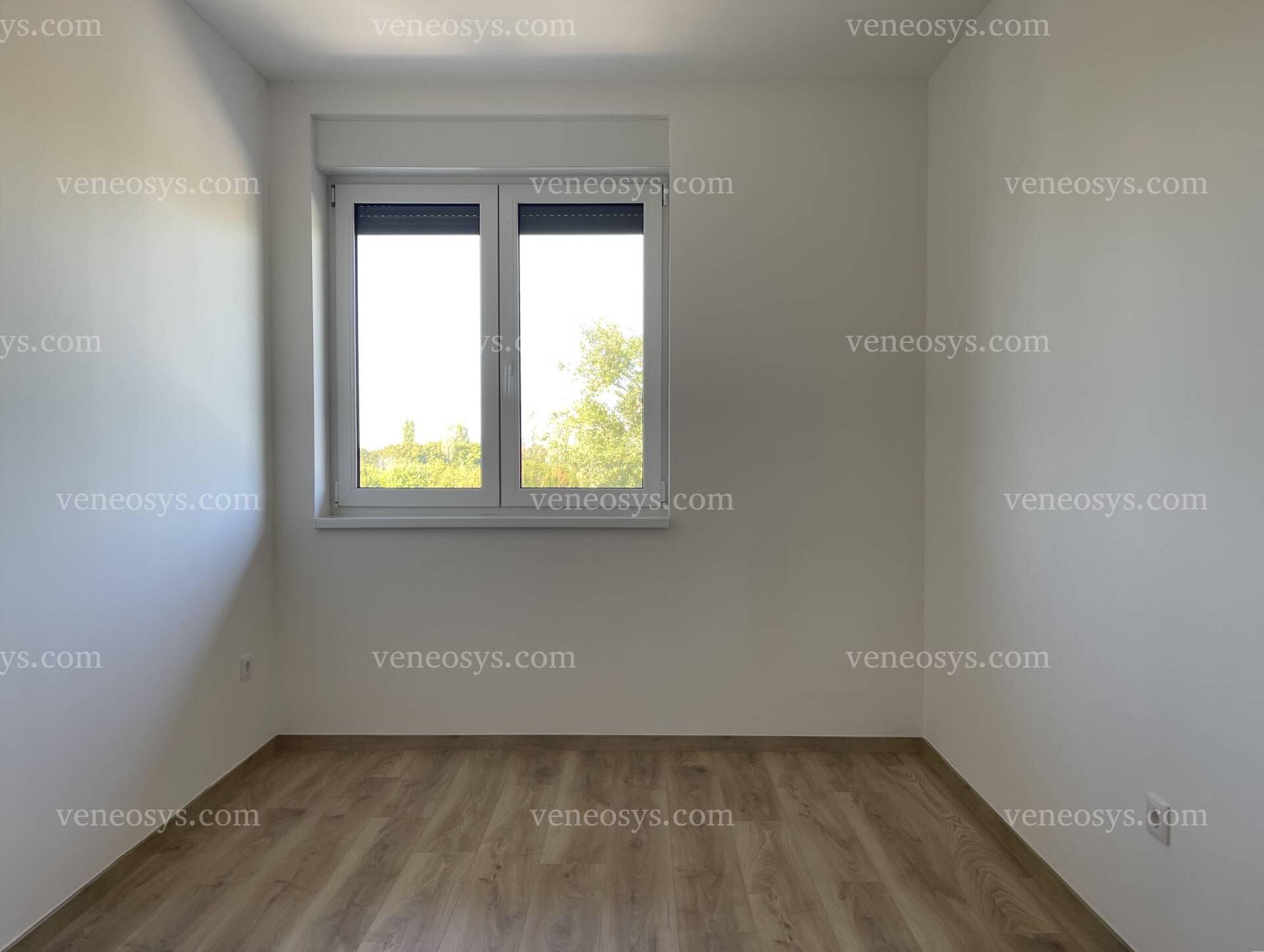 Kép 15