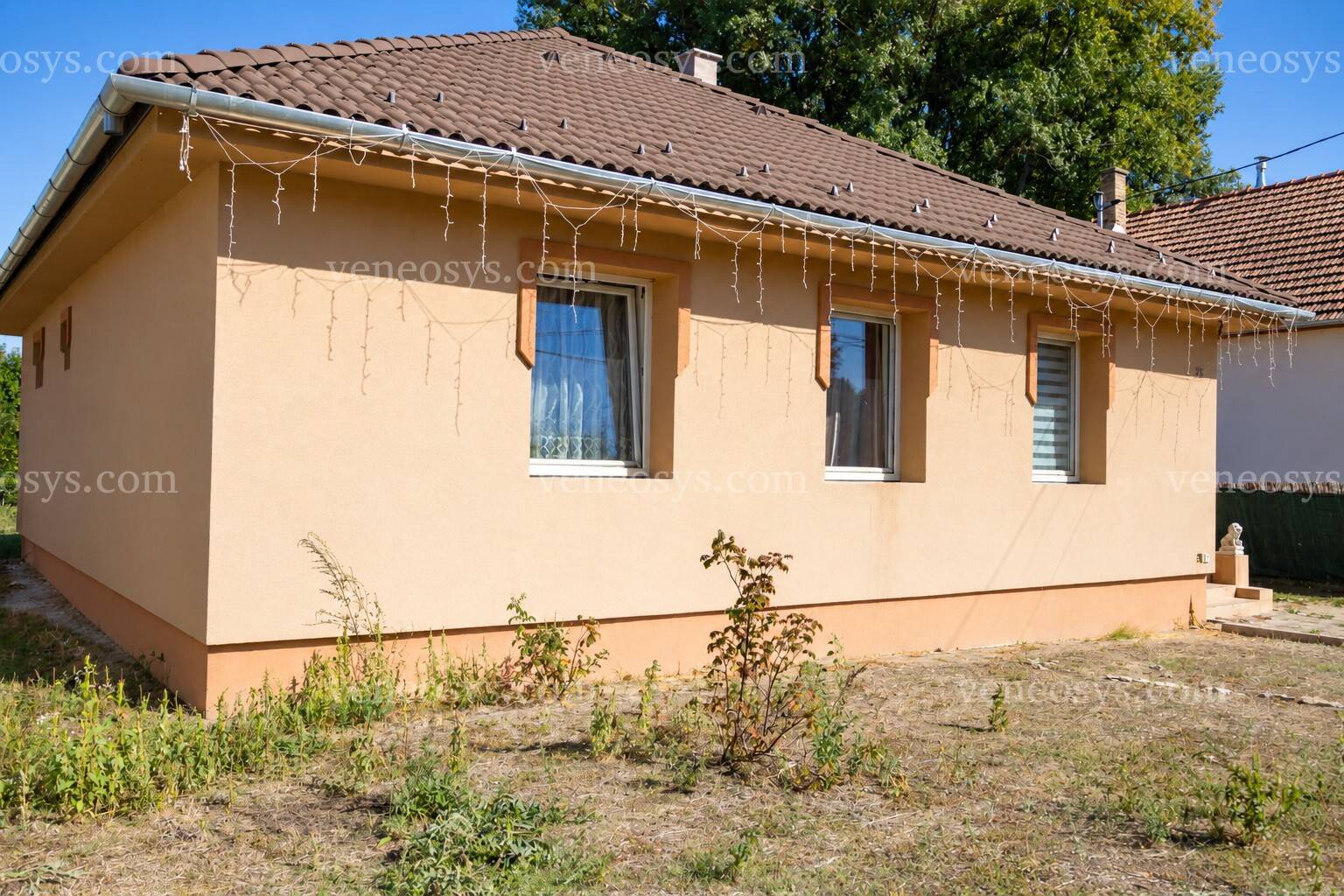 Kép 3