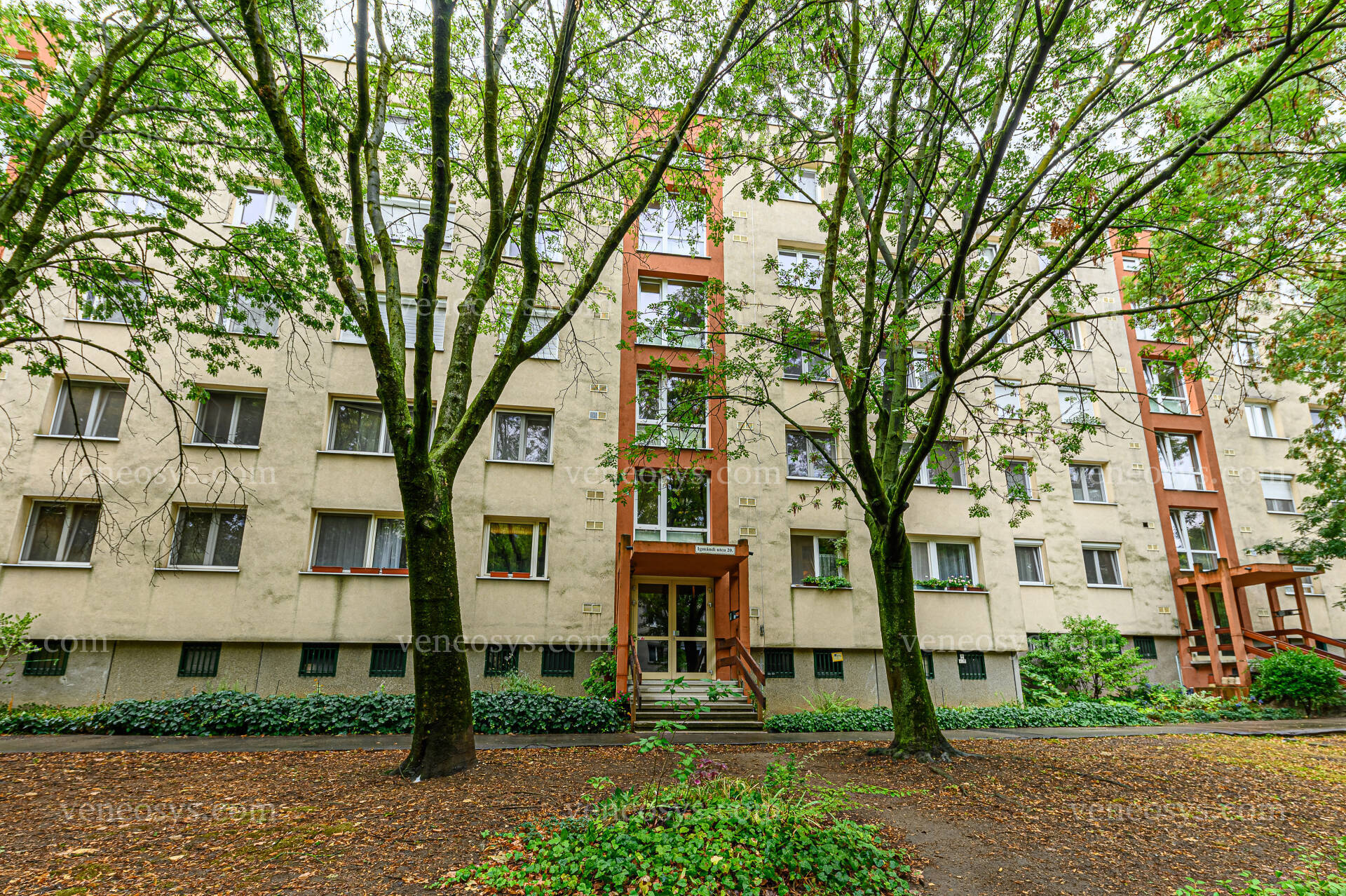 Kép 38