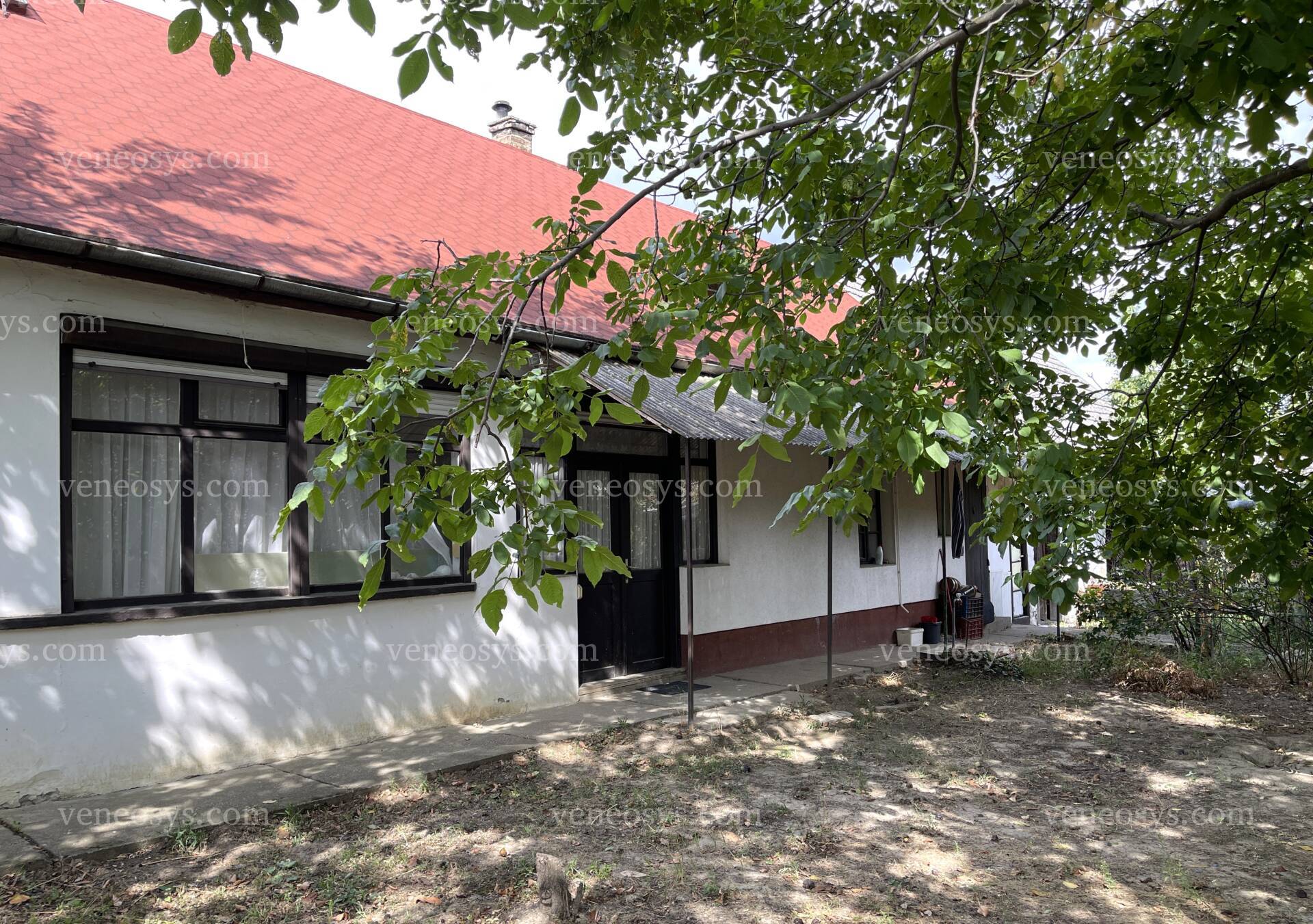 Kép 25