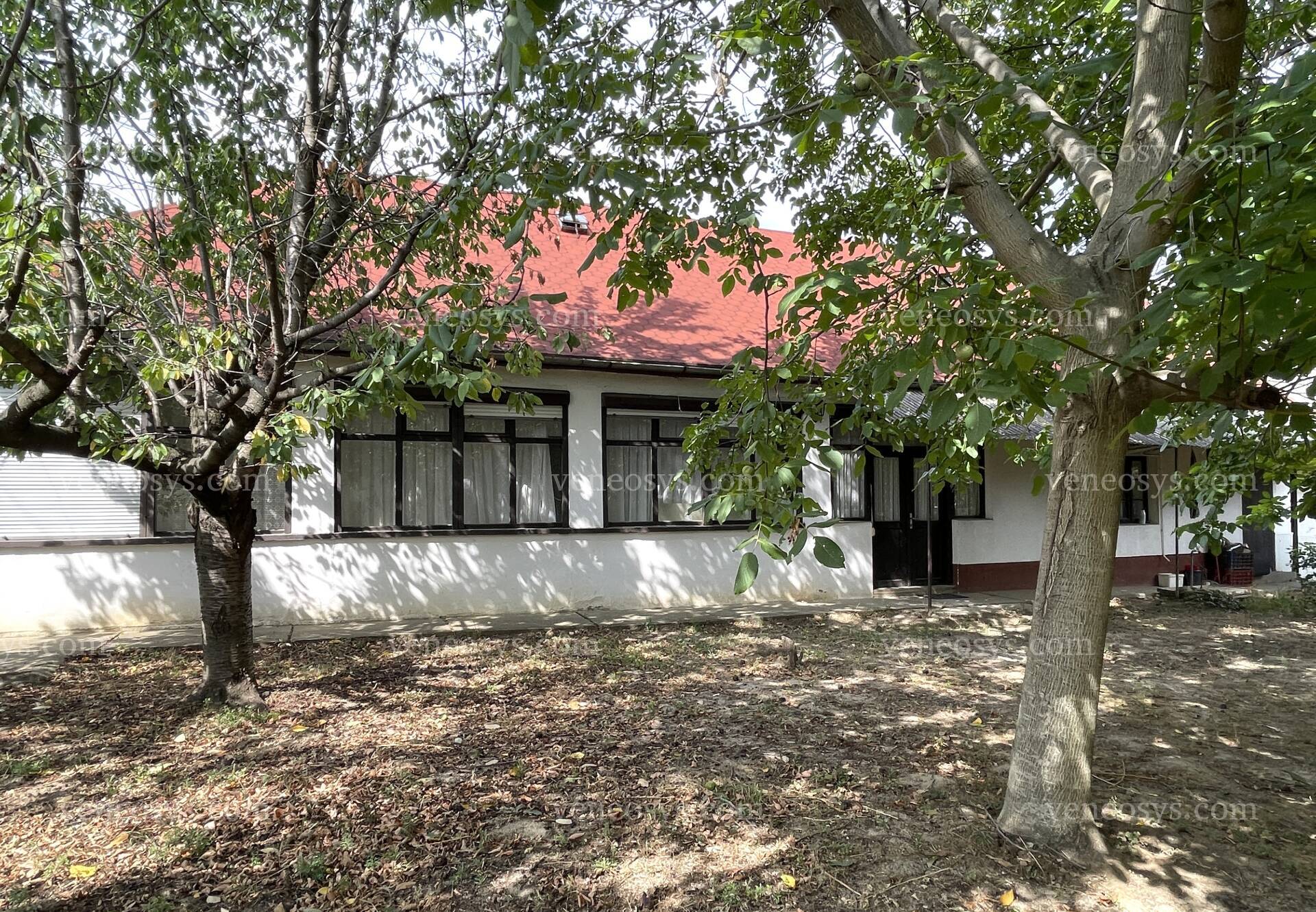 Kép 24