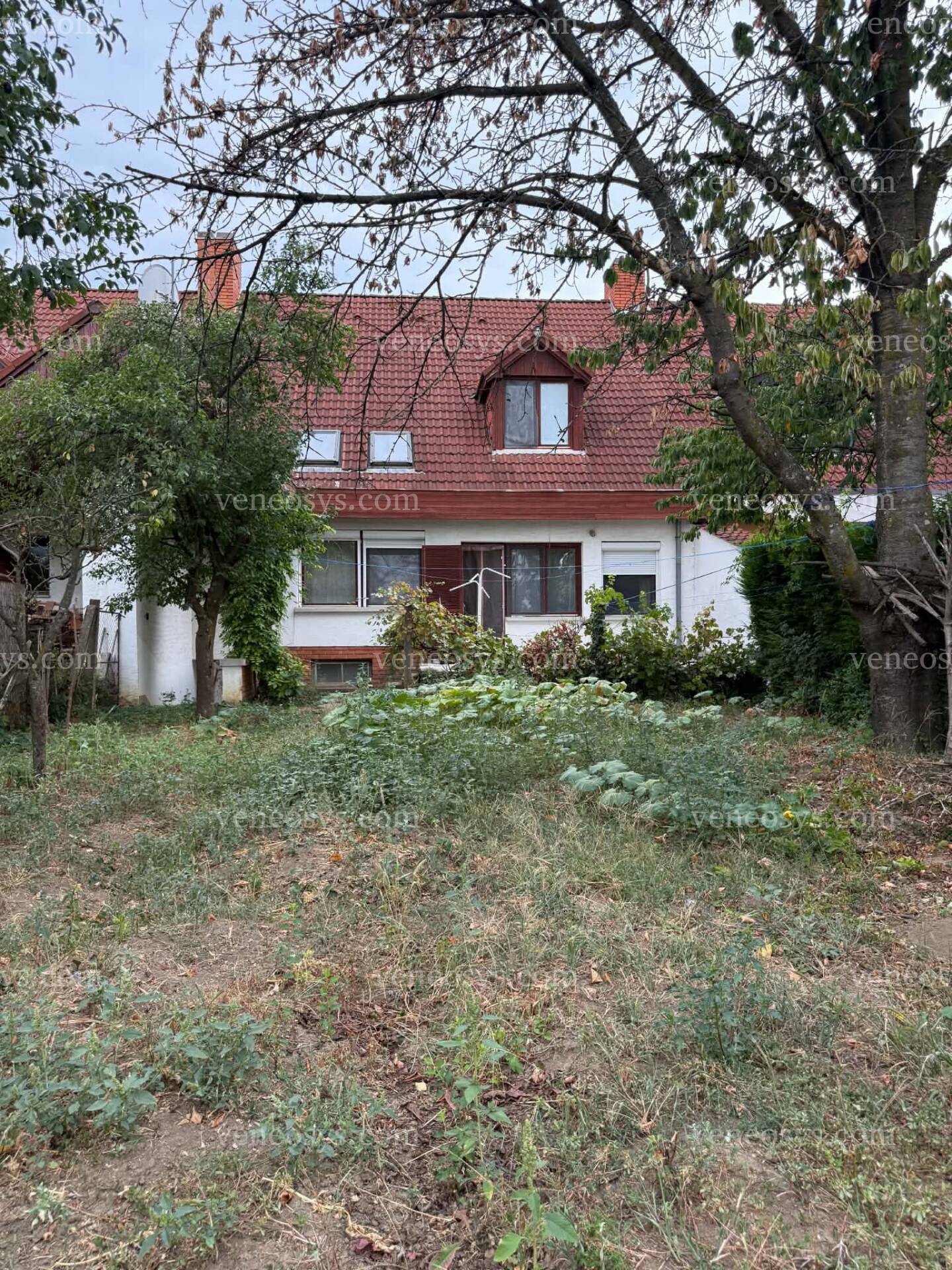 Kép 10
