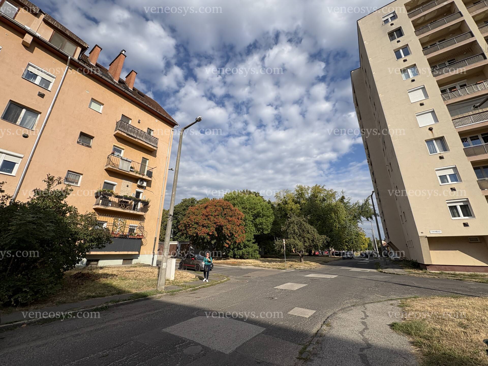 Kép 9