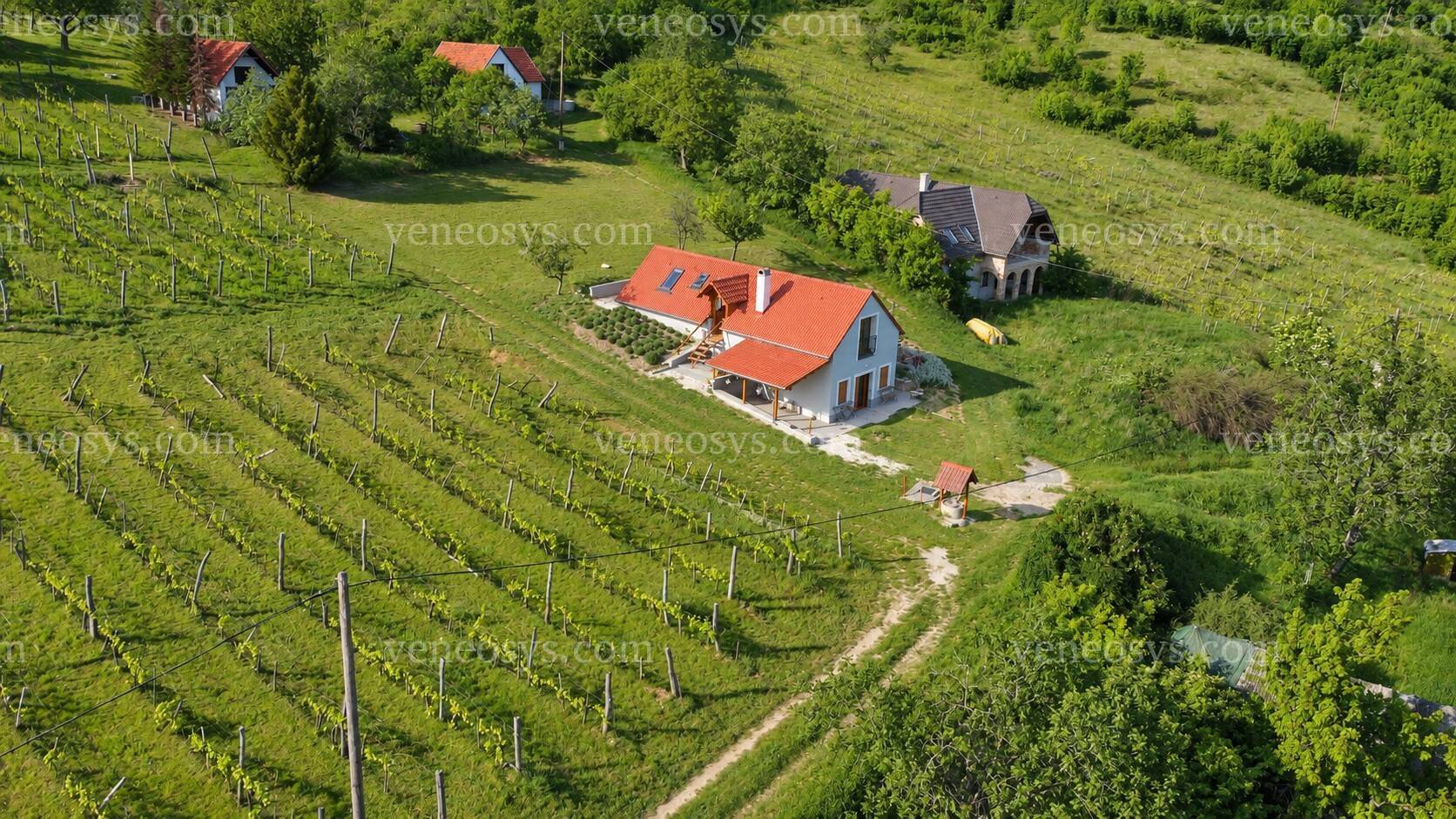 Kép 18